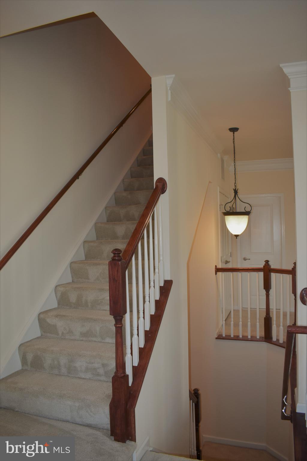 MARKET SQUARE - Residential Lease