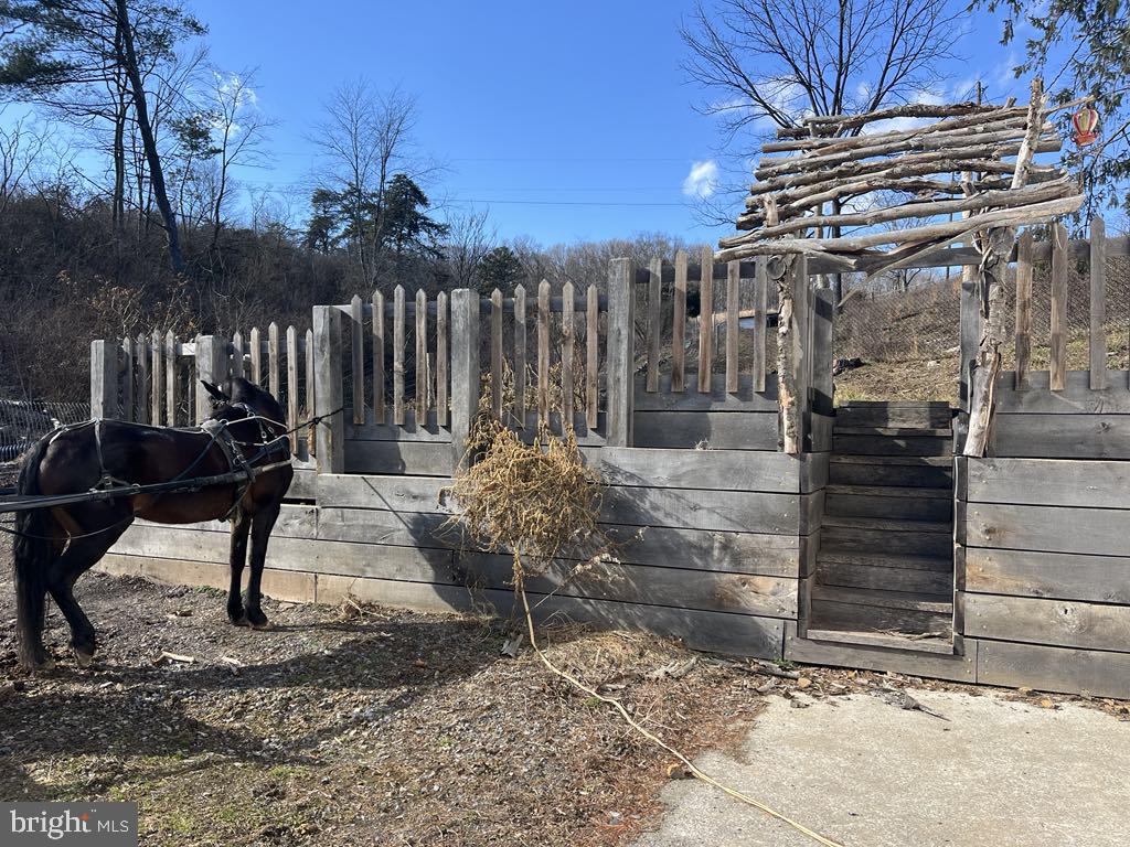 NONE AVAILABLE - Farm