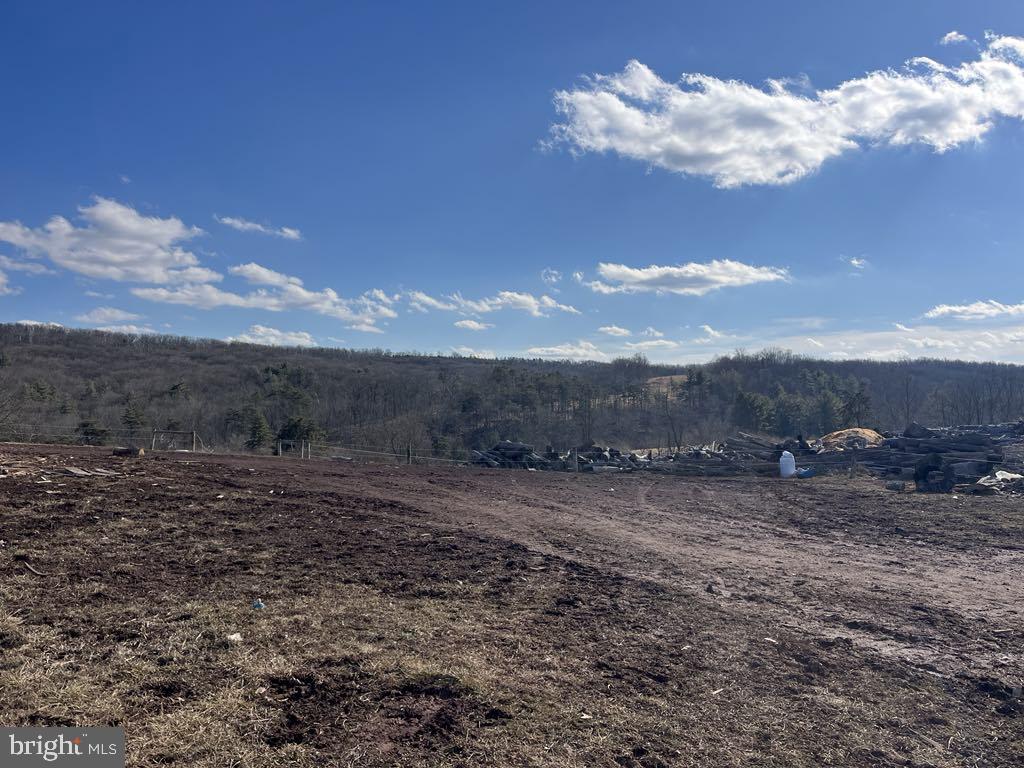 NONE AVAILABLE - Farm