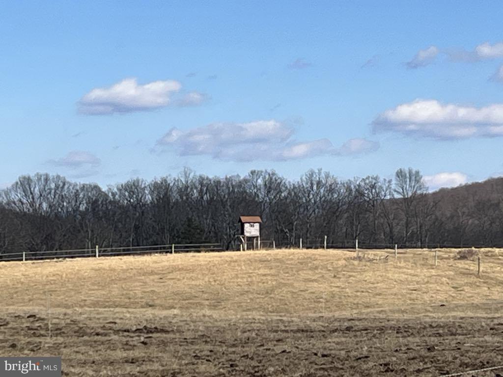 NONE AVAILABLE - Farm