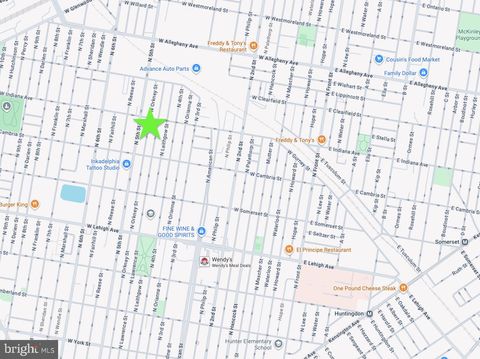 2955 N ORKNEY STREET PHILADELPHIA PA 19133