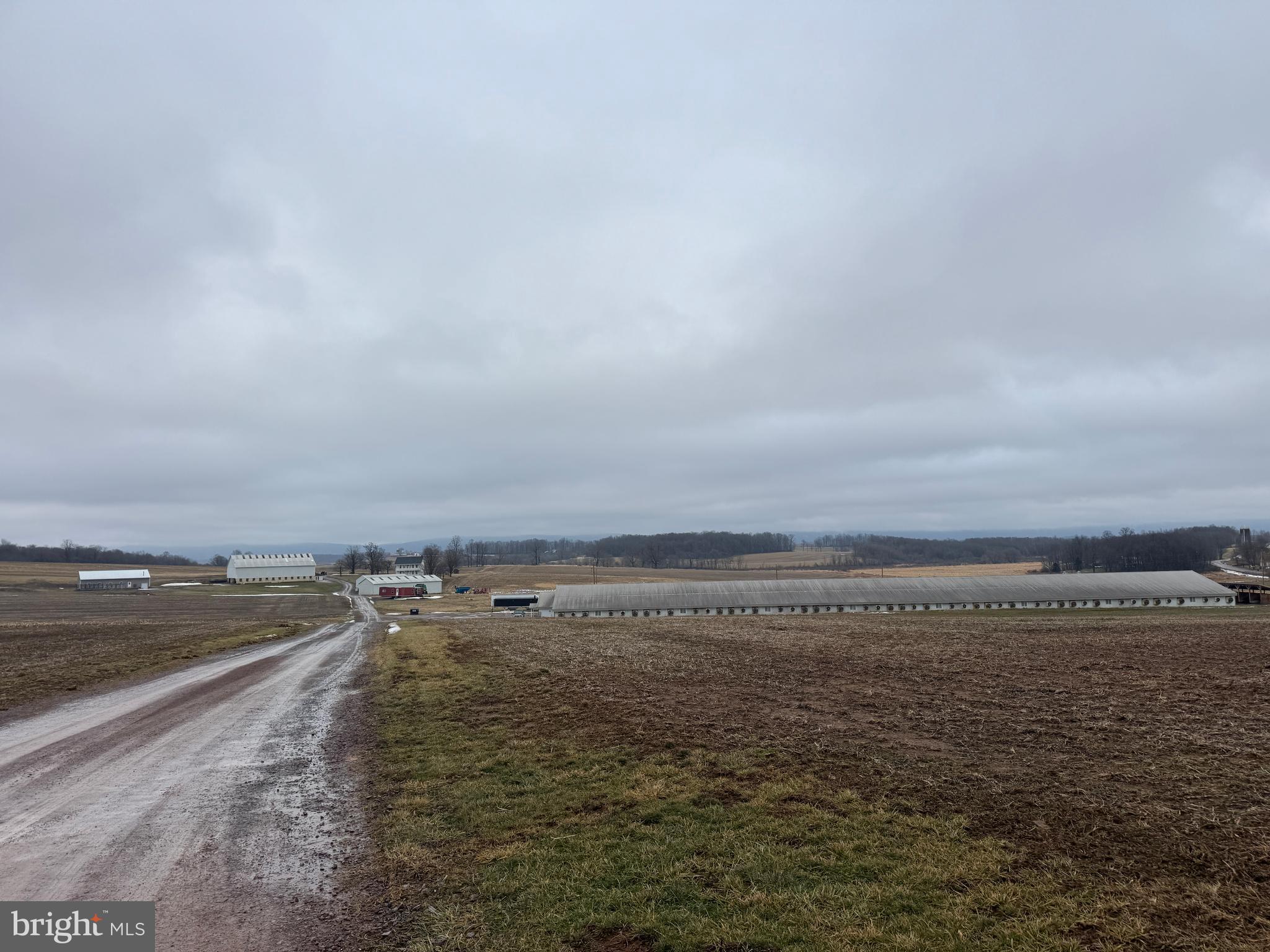 NONE AVAILABLE - Farm