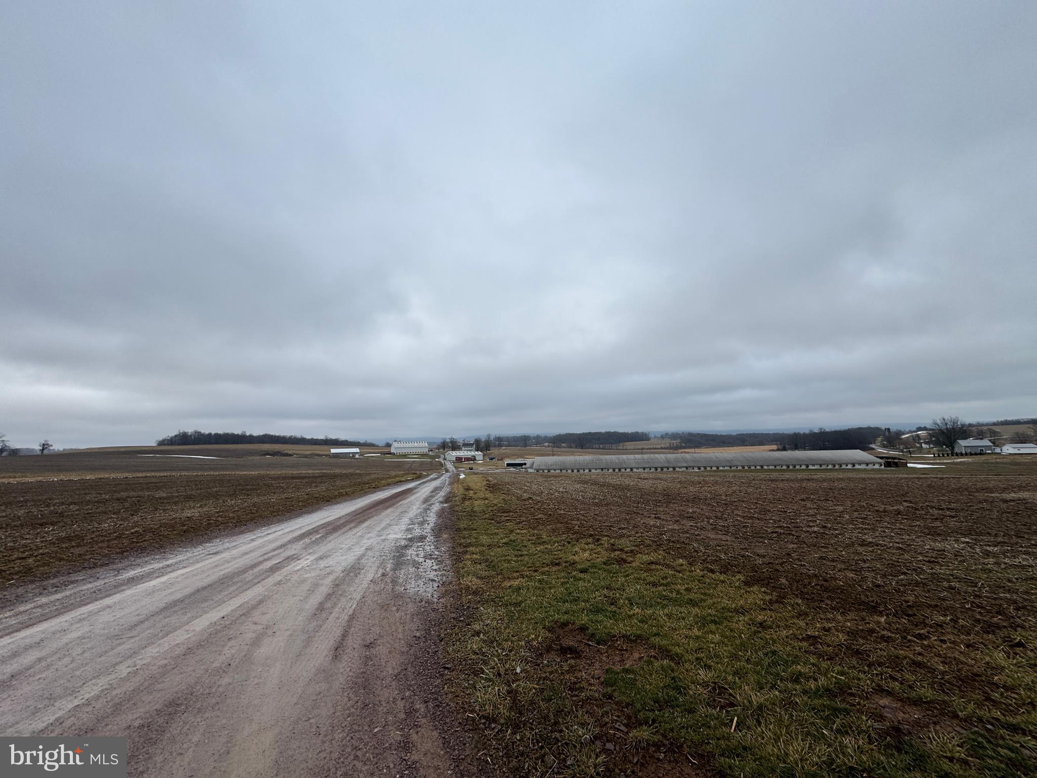 NONE AVAILABLE - Farm