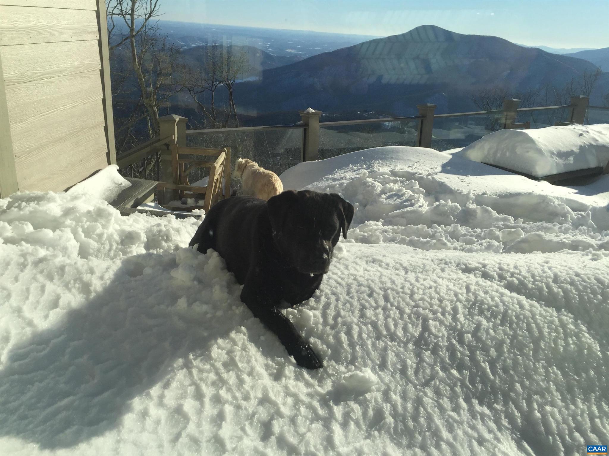 WINTERGREEN RESORT - Residential