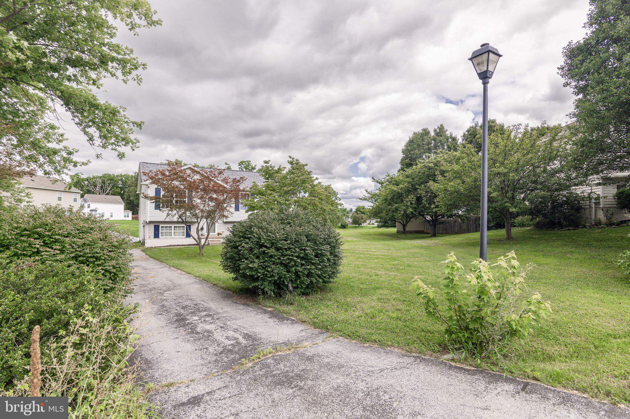 98 REX DRIVE