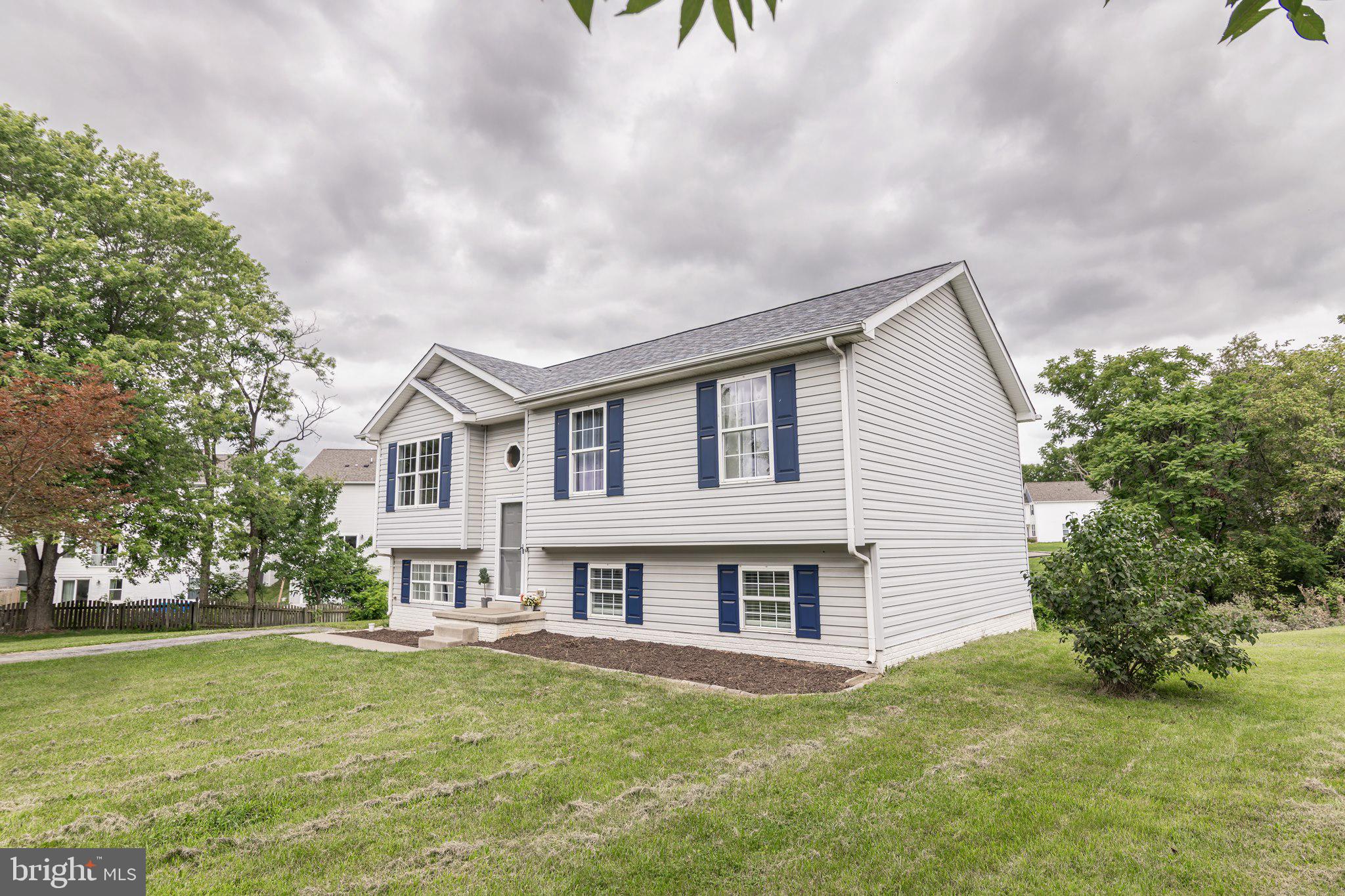 98 REX DRIVE