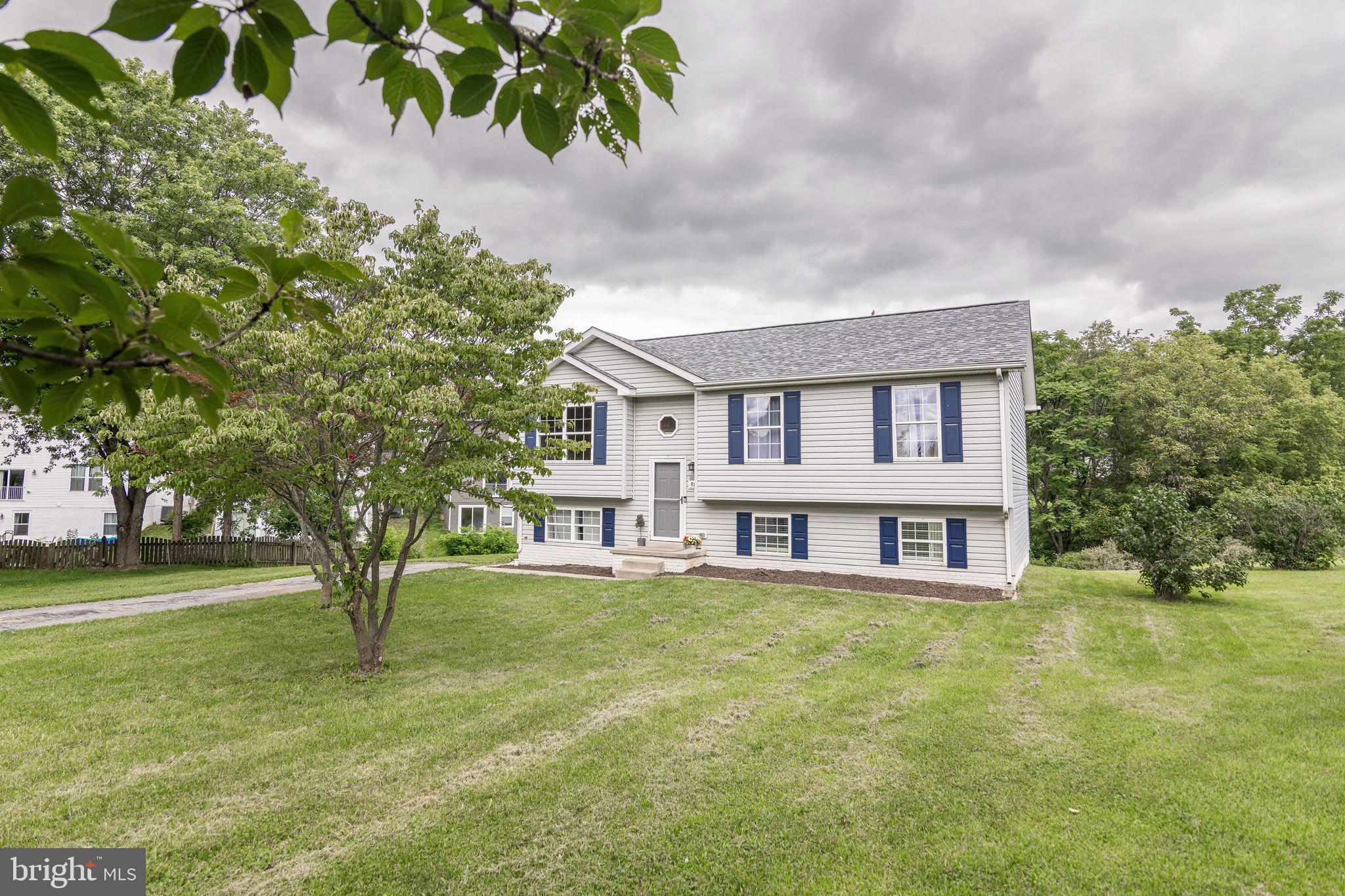 98 REX DRIVE