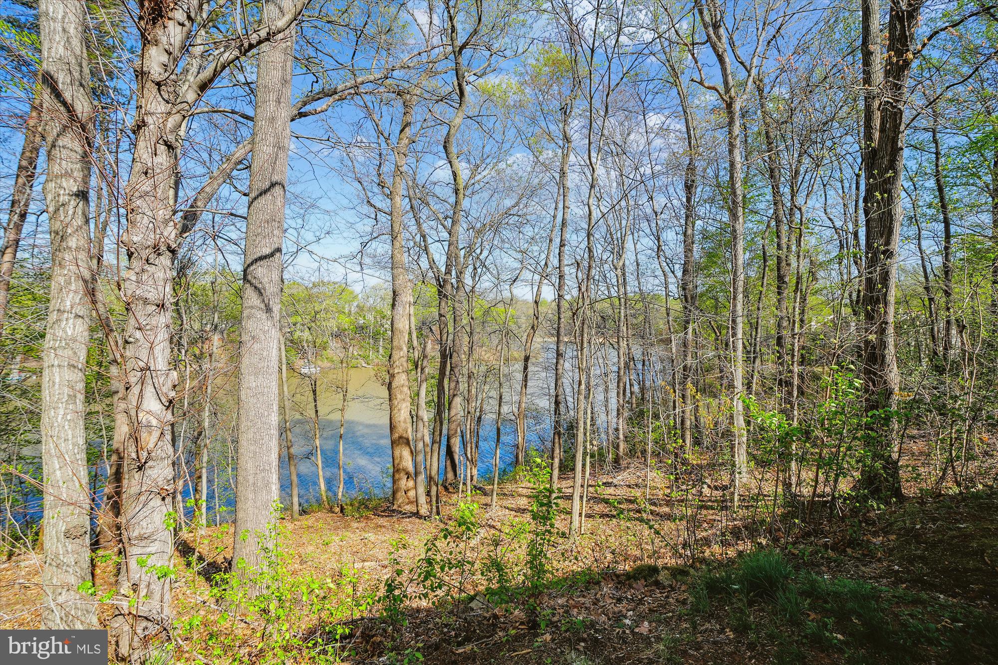 SOUTHLAKE AT MONTCLAIR - Residential