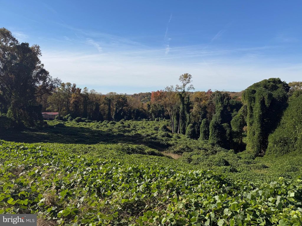 Photo of Joseph Drive, CLINTON, MD 20735 (MLS # MDPG2181800)