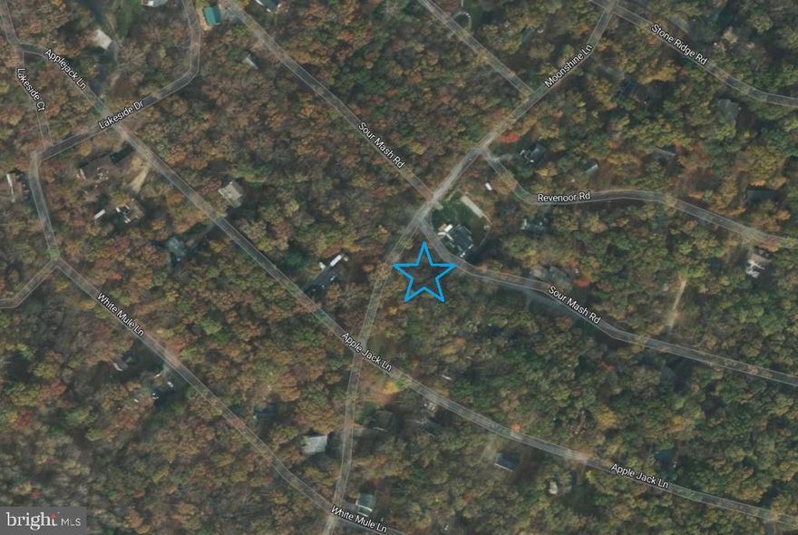 21,500 Sq Ft Double Lot 1 Mile from the Shenandoah River, Harpers Ferry WV!

Own this spacious .49 double lot in the desirable Shannondale community. Just 1 mile from the scenic Shenandoah River, you'll have endless opportunities for fishing, kayaking, and outdoor adventure all while being only 60 miles from Washington, D.C.

This is a rare chance to own two side-by-side lots in Harpers Ferry affordable land this close to D.C. doesn't come up often!

Disclaimer: All information is believed to be accurate but is not guaranteed.