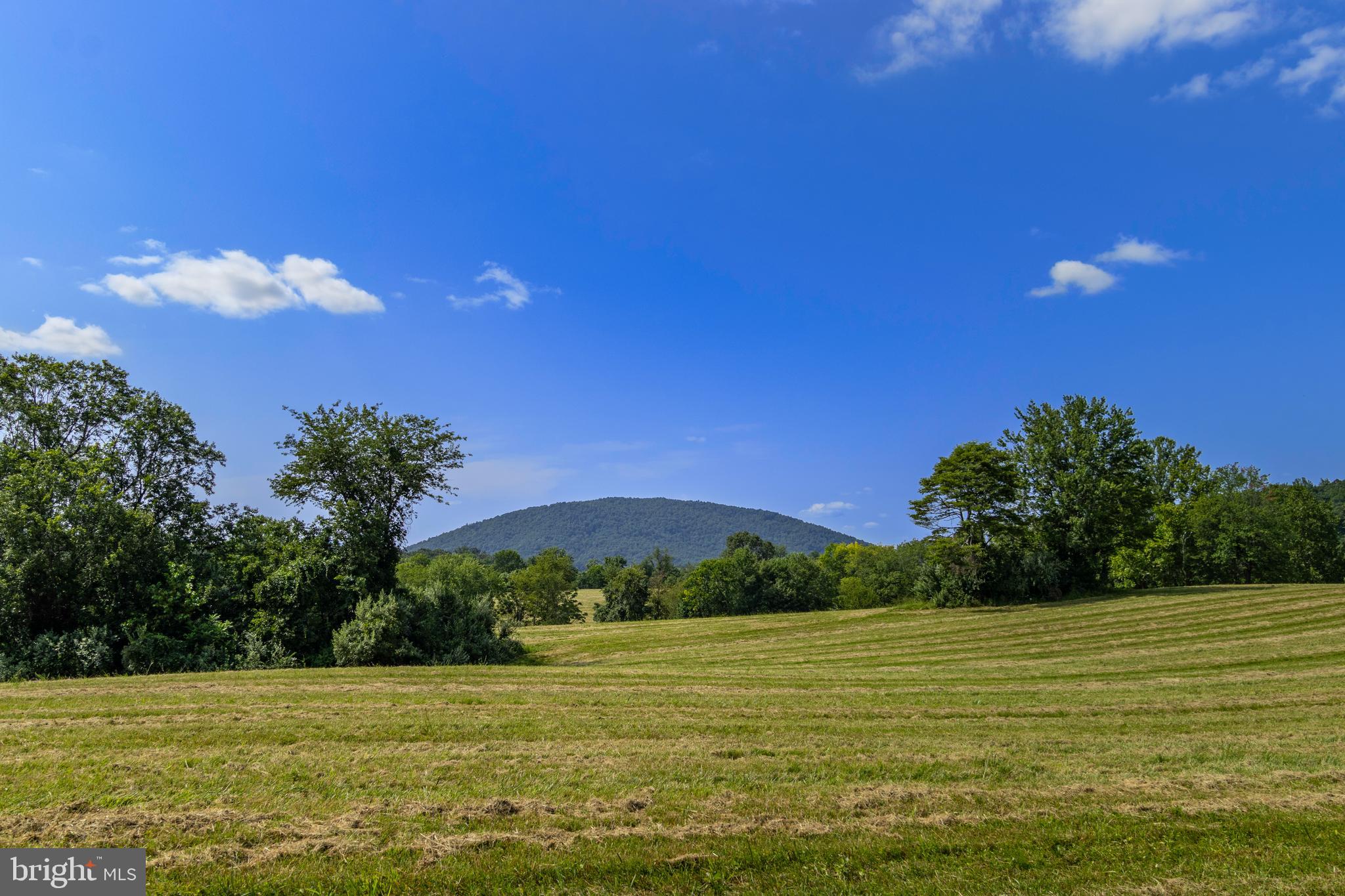 CLARENDON FARM DRIVE