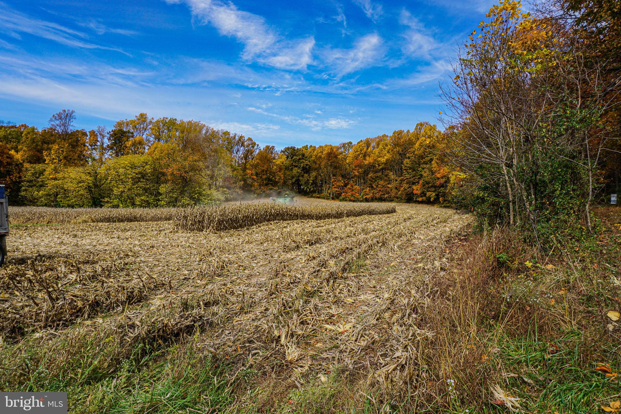 SHREWSBURY TWP - Residential