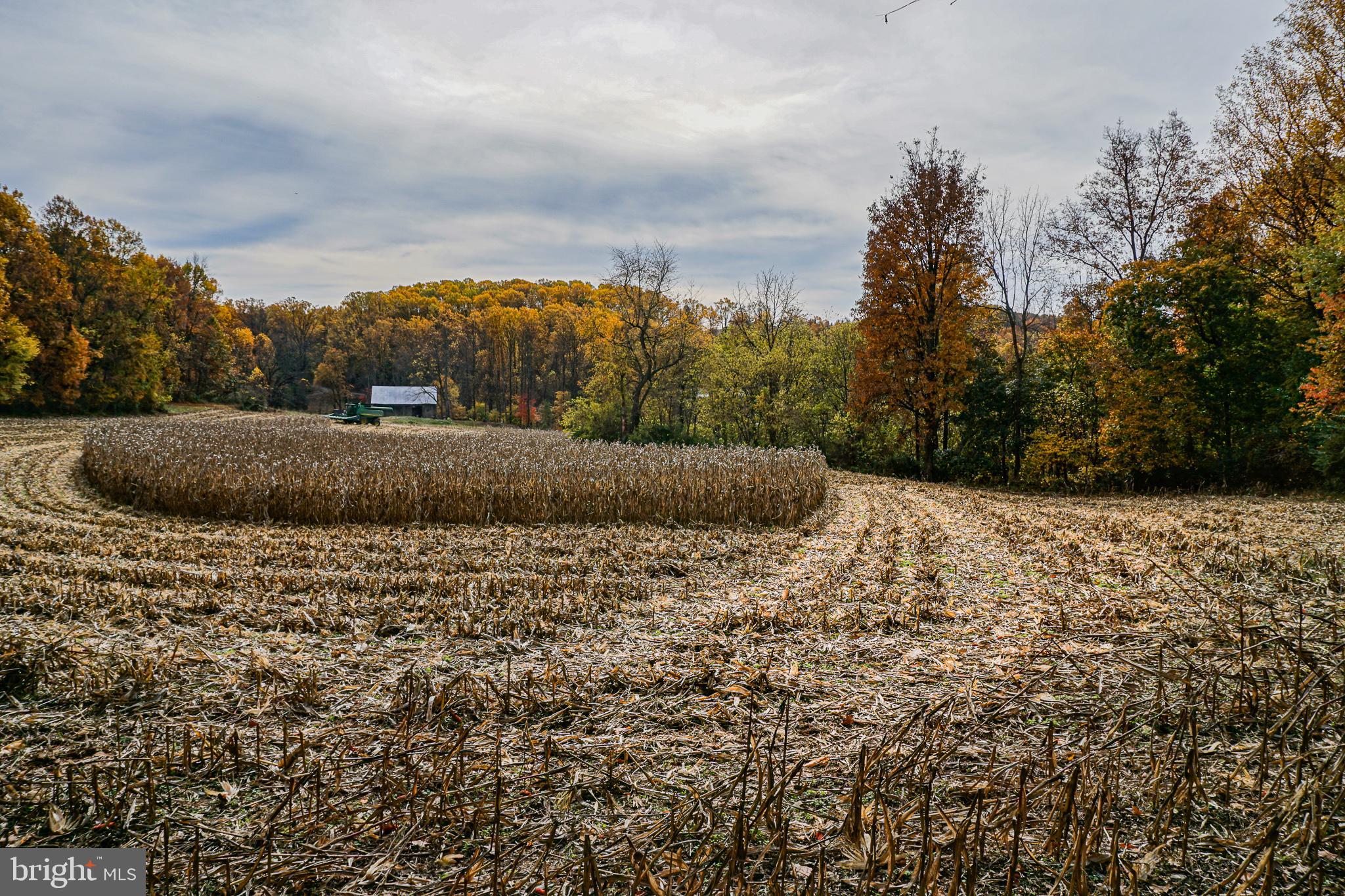 SHREWSBURY TWP - Residential