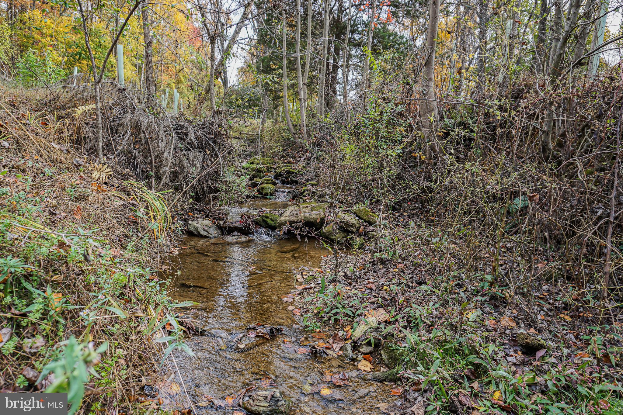 SHREWSBURY TWP - Residential