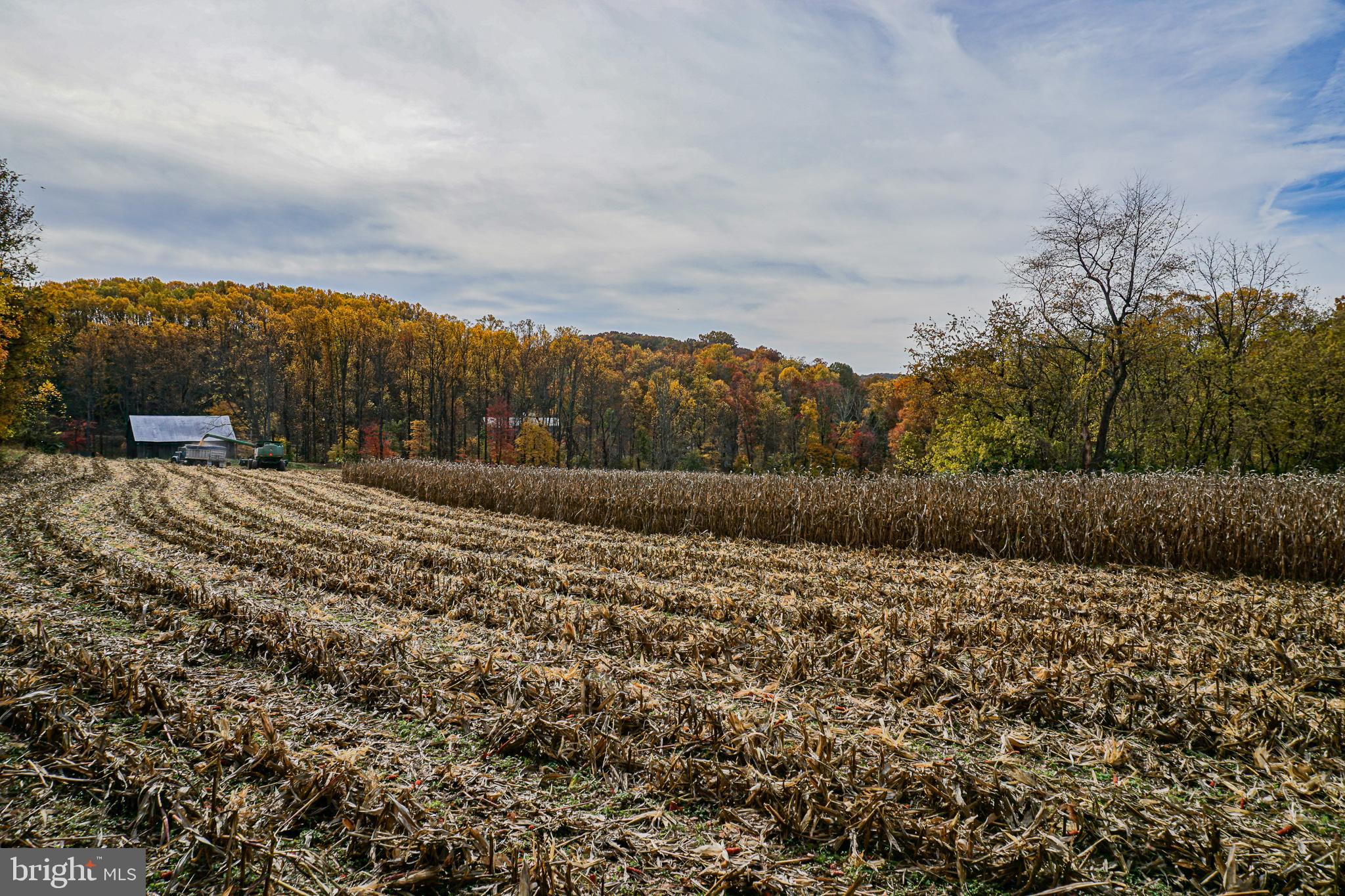SHREWSBURY TWP - Residential