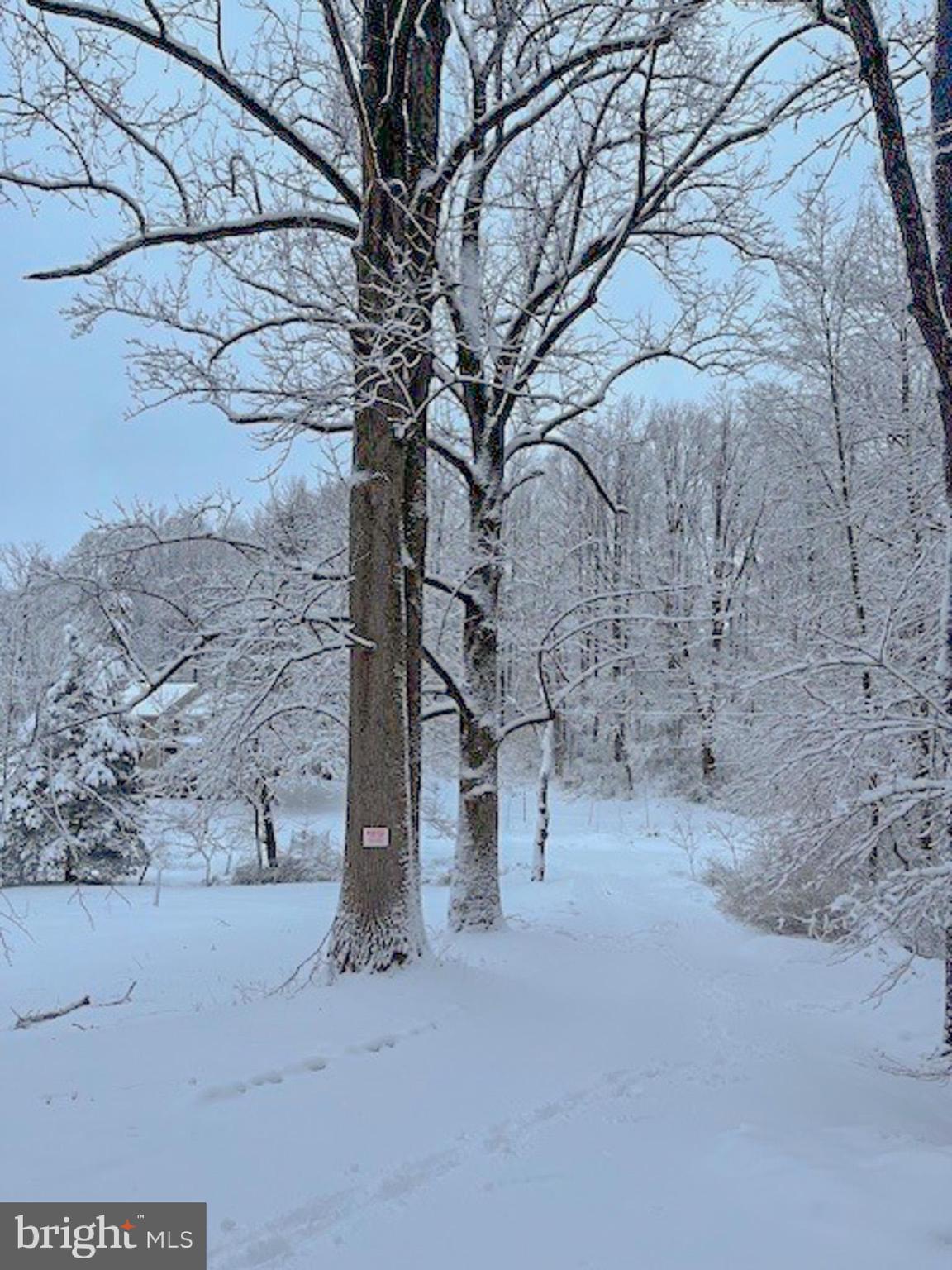 SHREWSBURY TWP - Residential