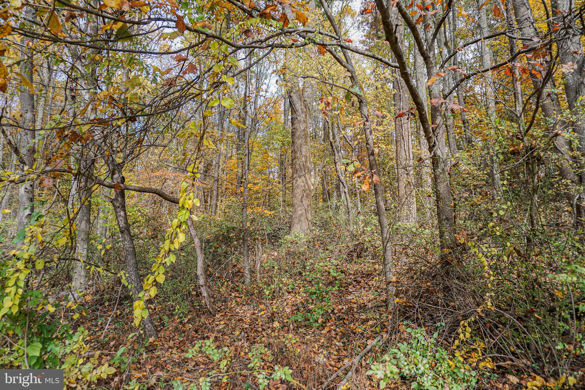 SHREWSBURY TWP - Residential