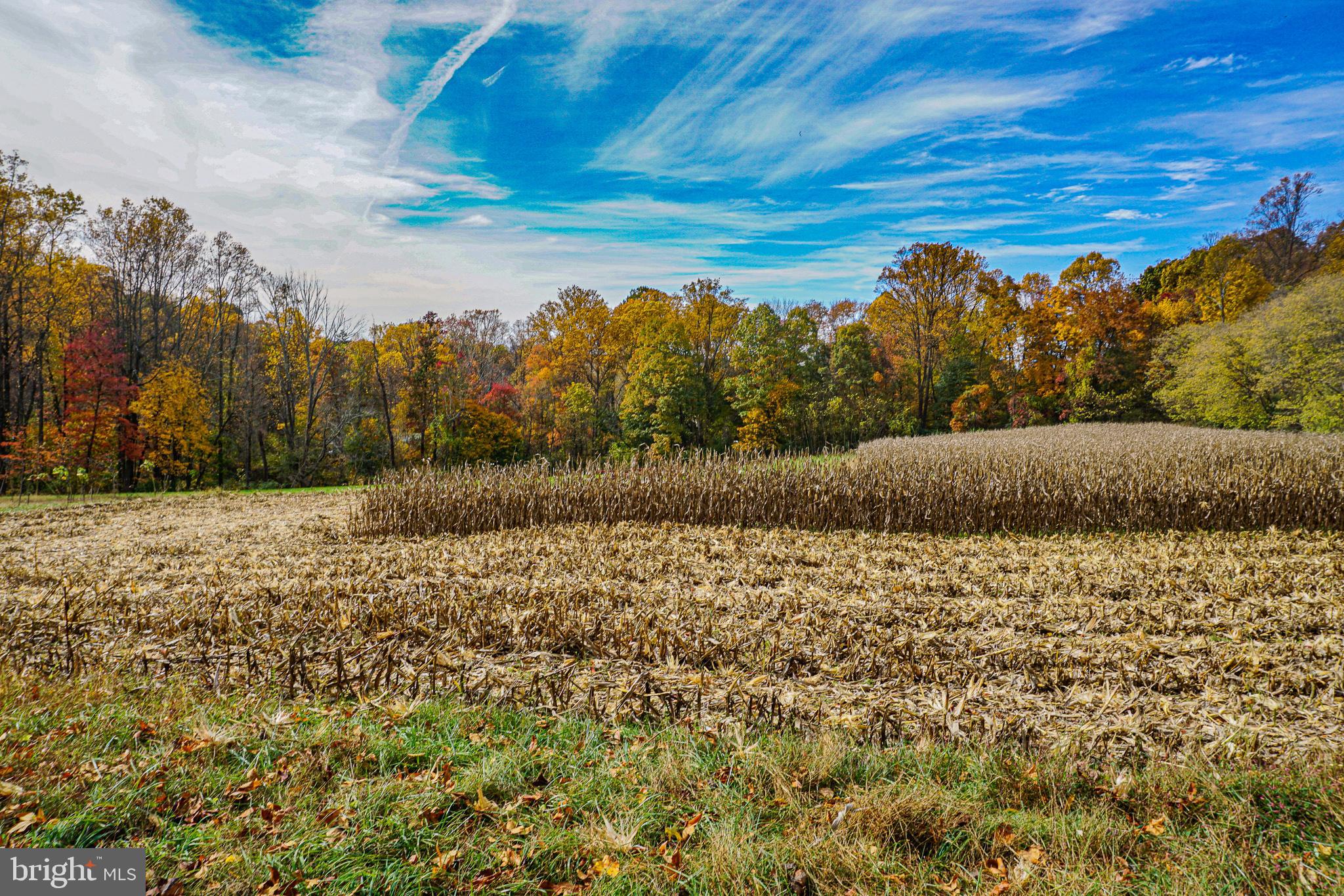 SHREWSBURY TWP - Residential