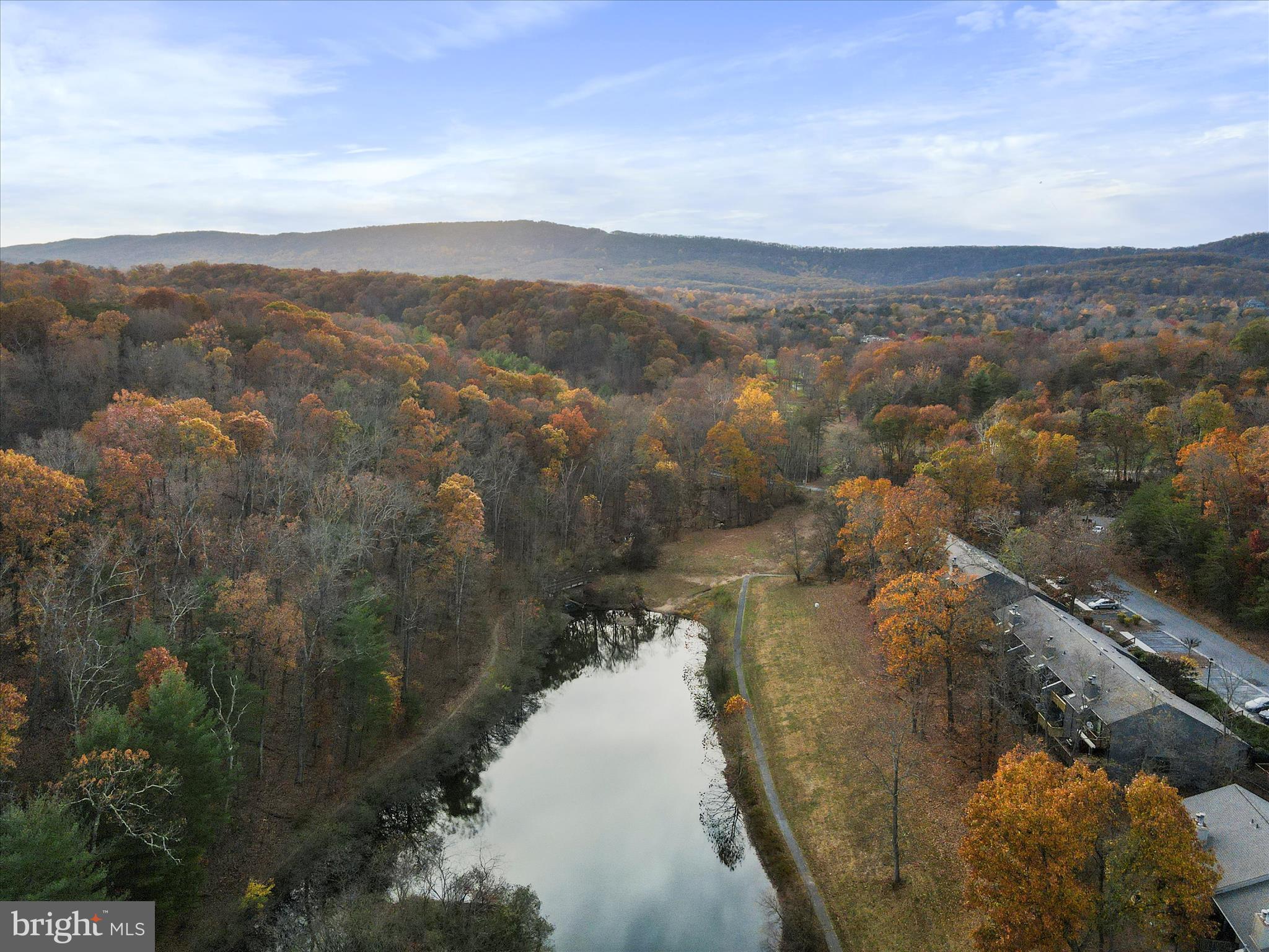 THE WOODS - Residential