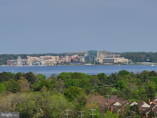 2059 HUNTINGTON AVE APT 1607, ALEXANDRIA, VA 22303 - Image 1916aa9fce414542f71a5dccbf7a072f/3659546373