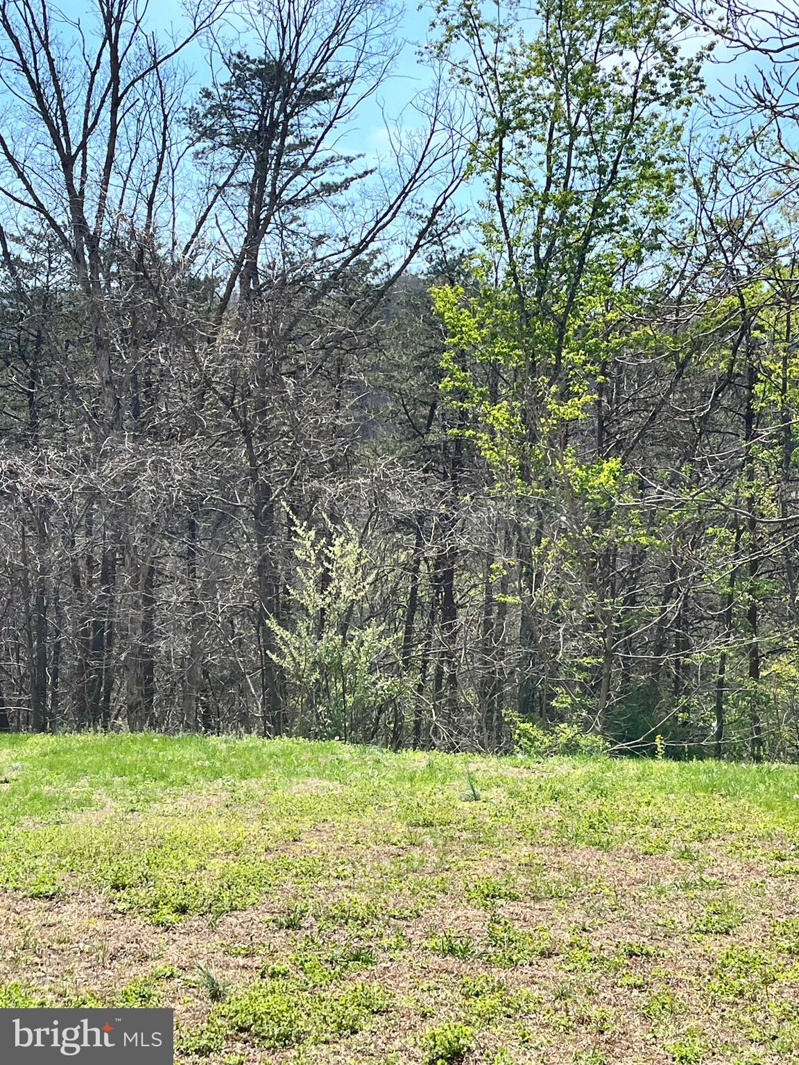 MIDDLE MOUNTAIN - Residential