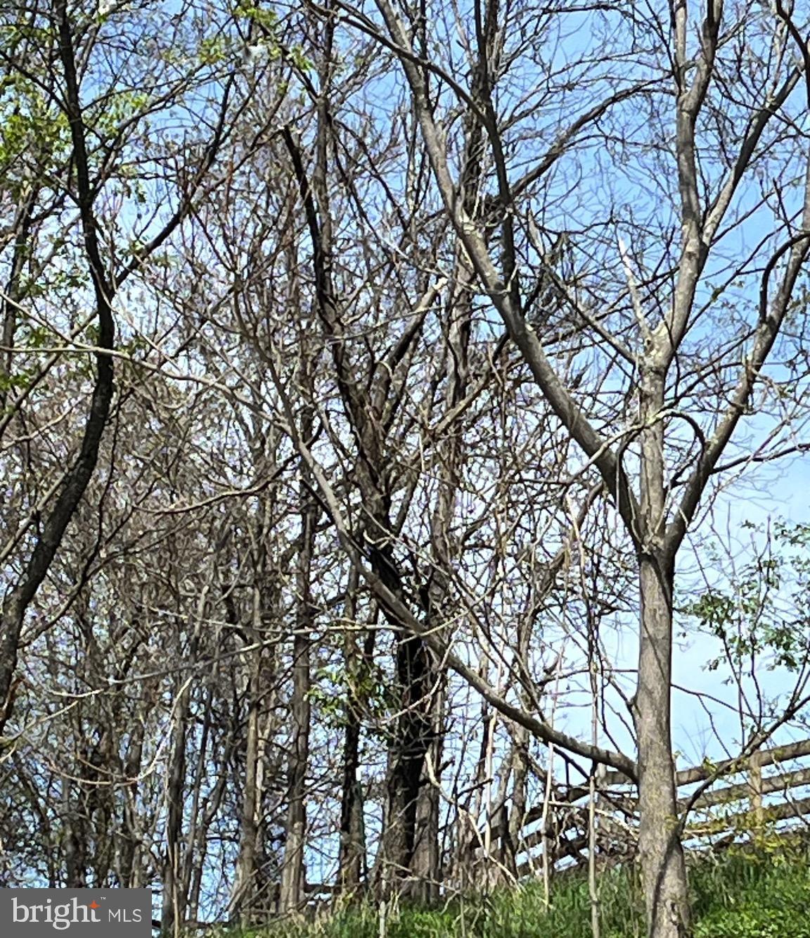 MIDDLE MOUNTAIN - Residential