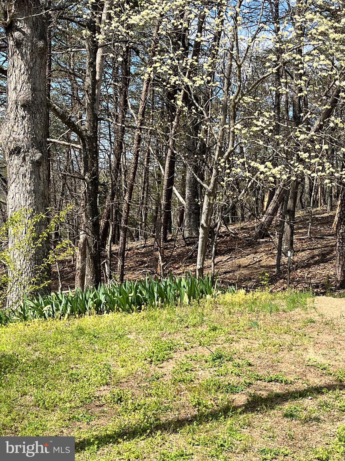 MIDDLE MOUNTAIN - Residential