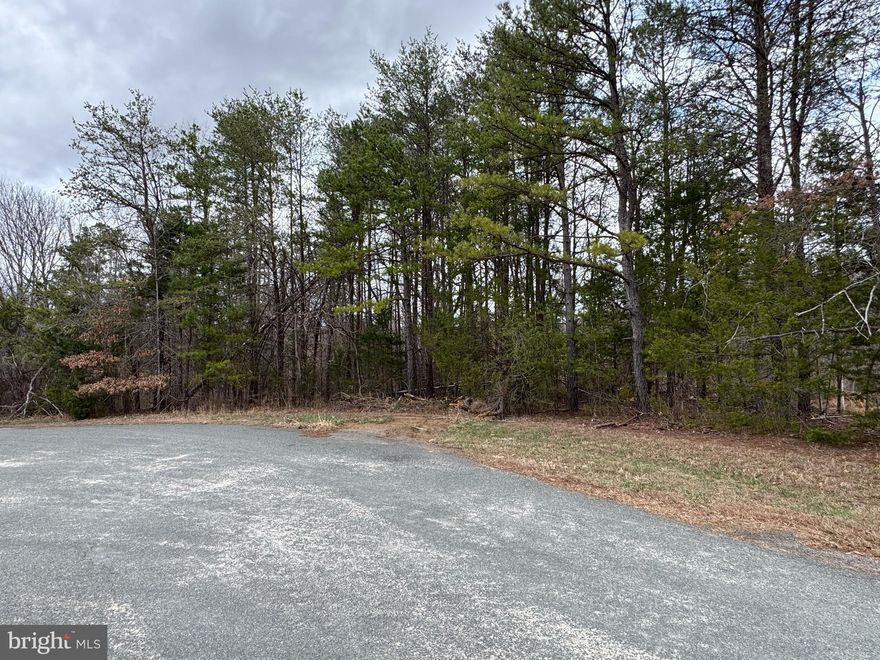 Beautiful 1.5-acre parcel located in the cul-de-sac of Harness Lane in the desirable Bien Venue Plantation community. This level to gently rolling lot offers an ideal setting for your future home, with a nice balance of open space and natural surroundings. Enjoy privacy and a peaceful, well-maintained neighborhood while still being conveniently located to nearby towns, shopping, and commuter routes. Bring your builder and start planning—this property offers excellent potential in an established community setting.