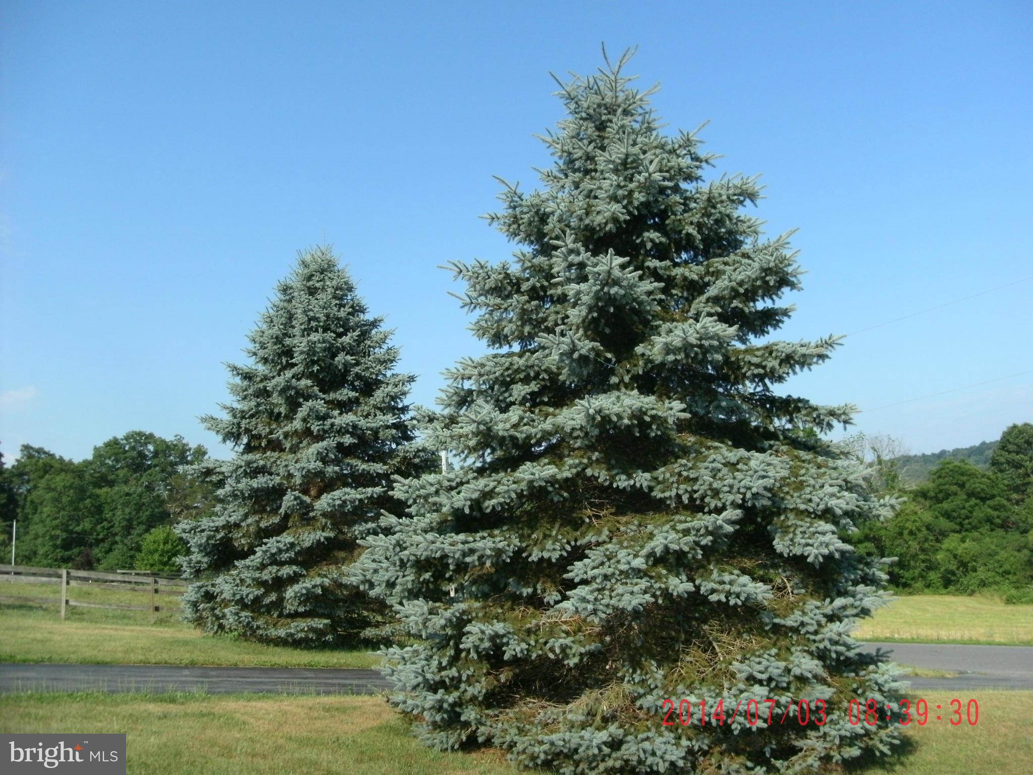 NONE AVAILABLE - Farm