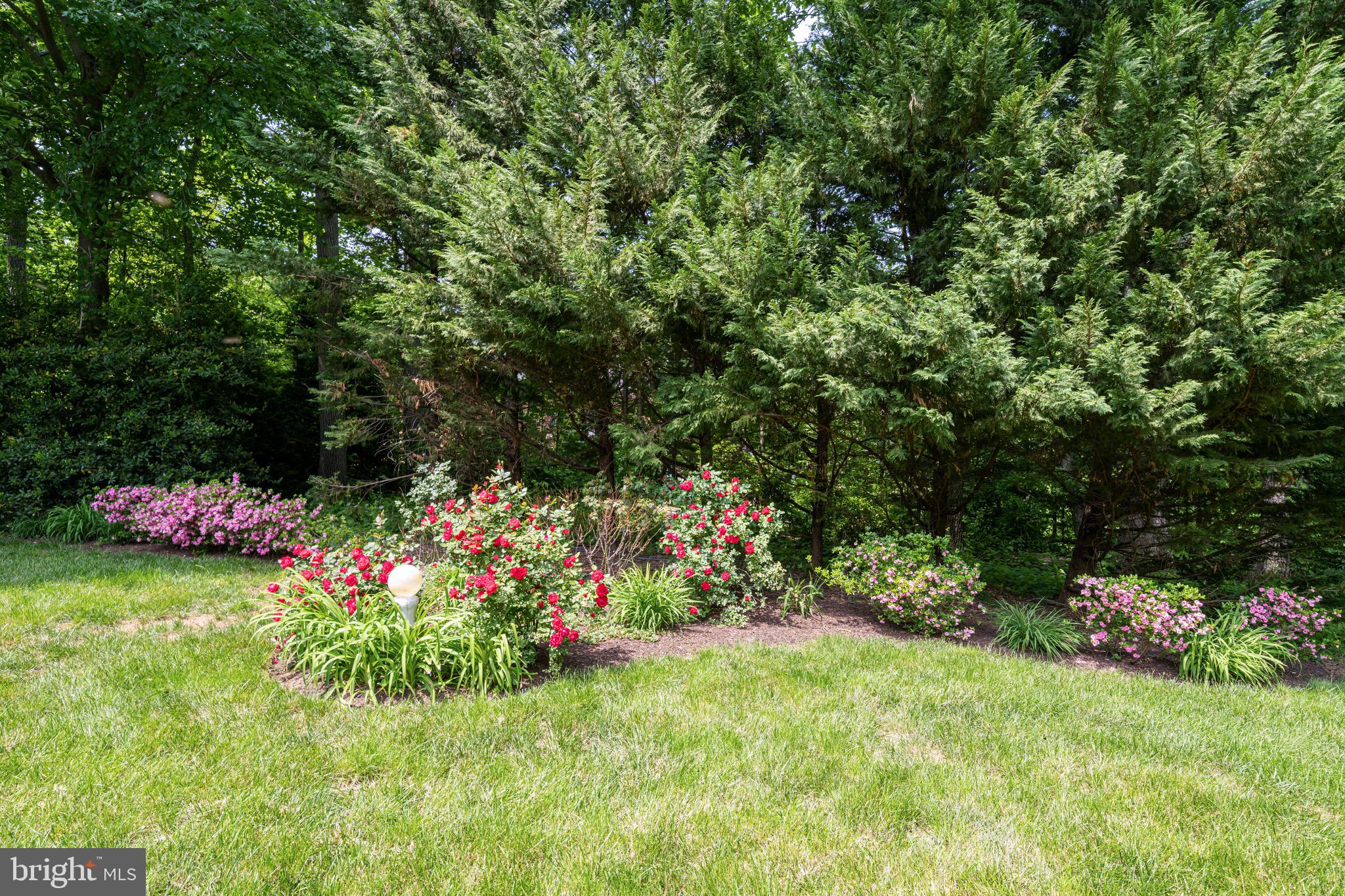 BRANDES ESTATES - Residential