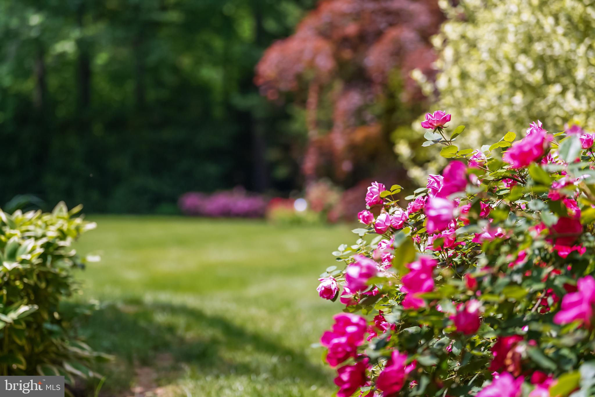 BRANDES ESTATES - Residential