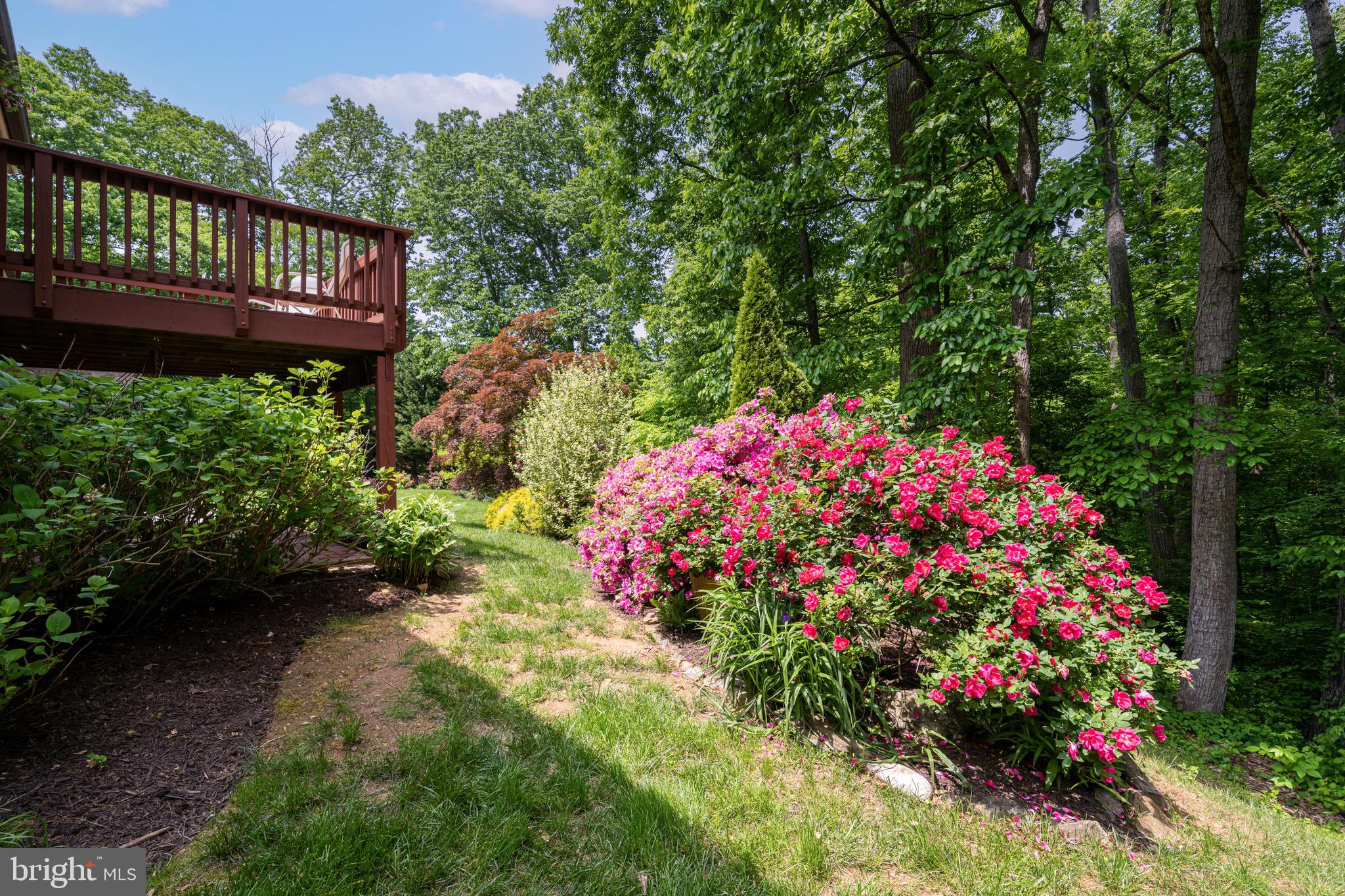 BRANDES ESTATES - Residential