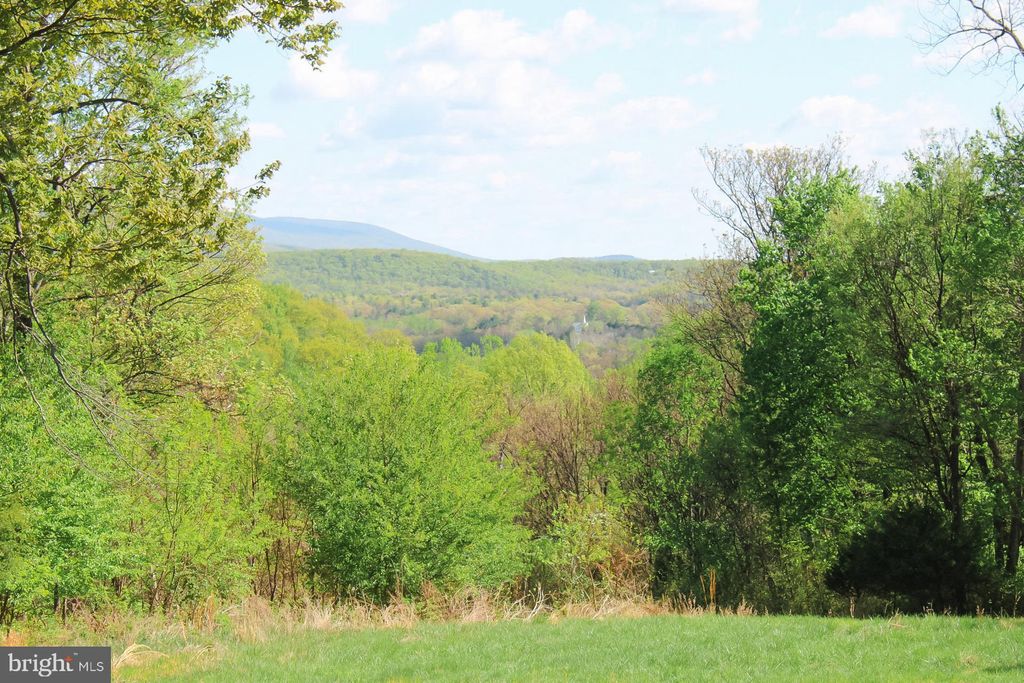 Photo of 224 Oates Road, STAR TANNERY, VA 22654 (MLS # VAFV2040408)