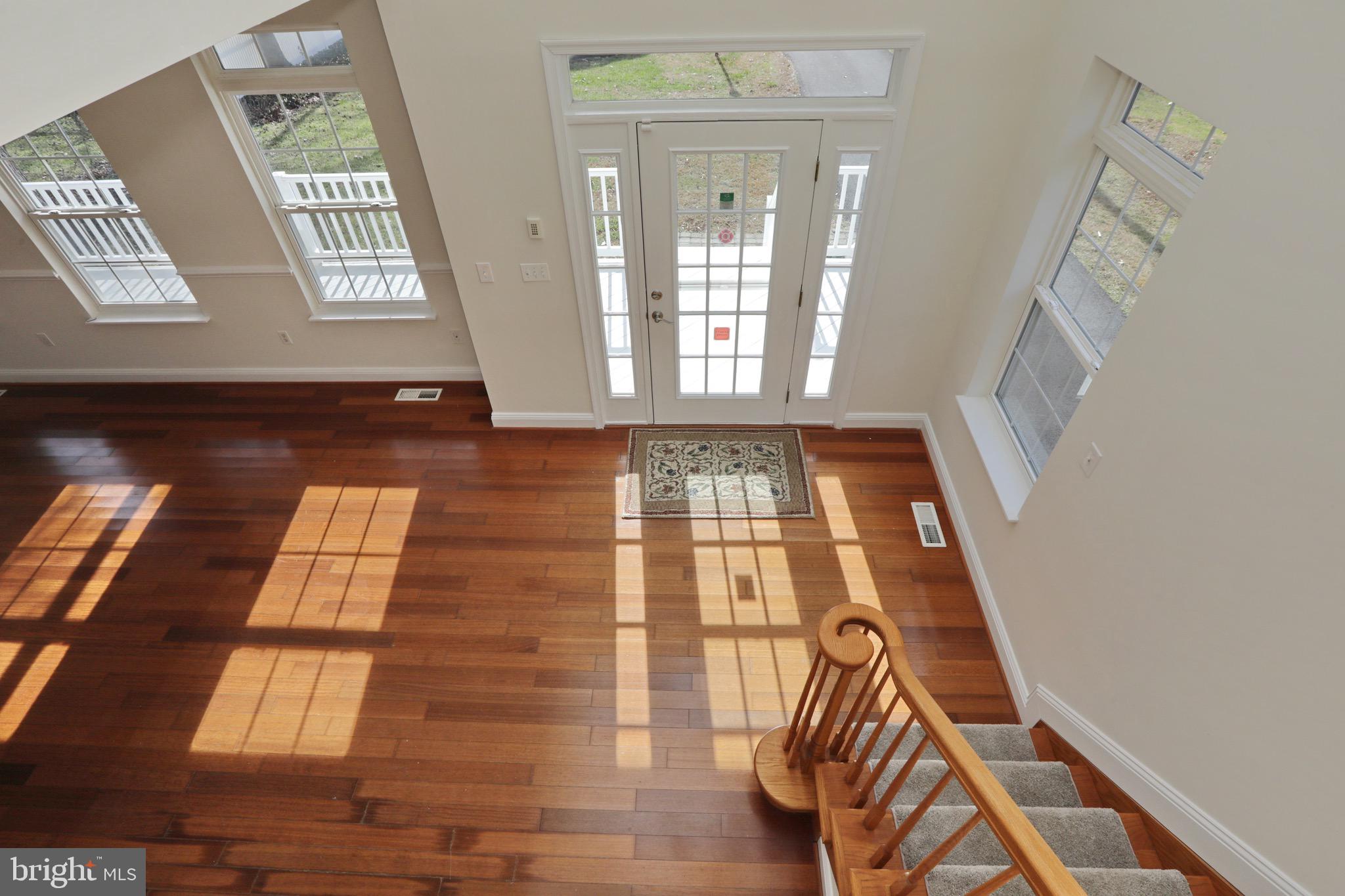 COBB ISLAND - Residential