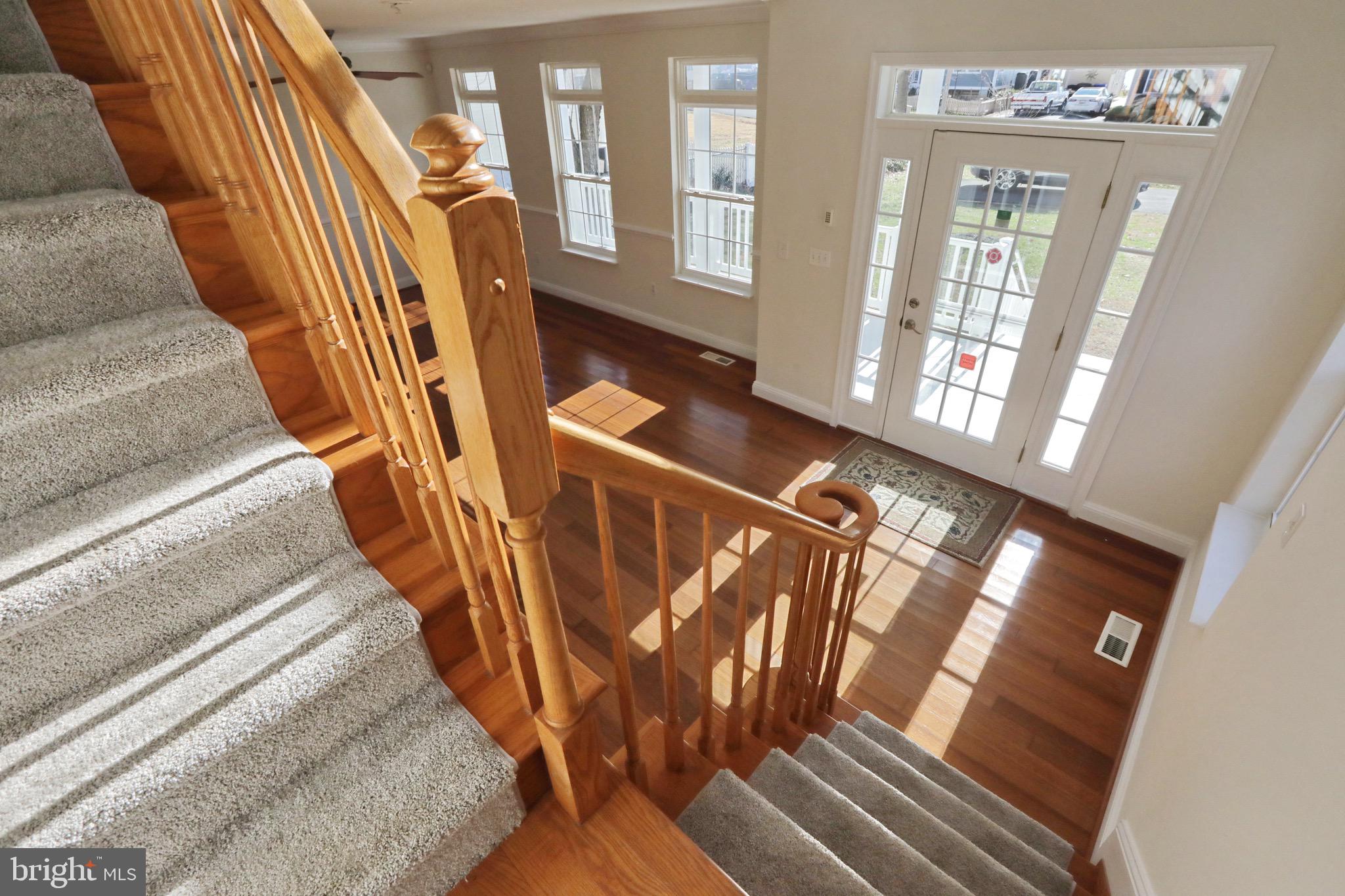 COBB ISLAND - Residential