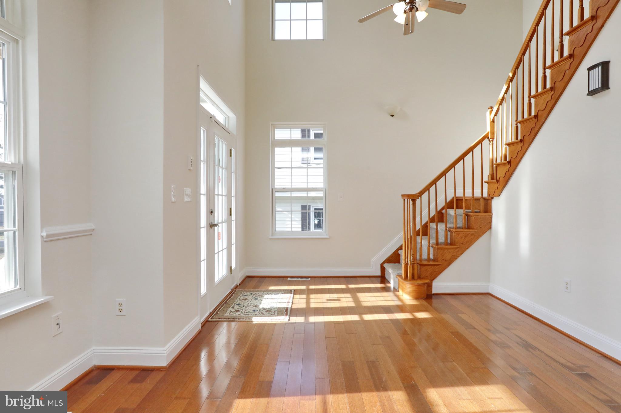 COBB ISLAND - Residential