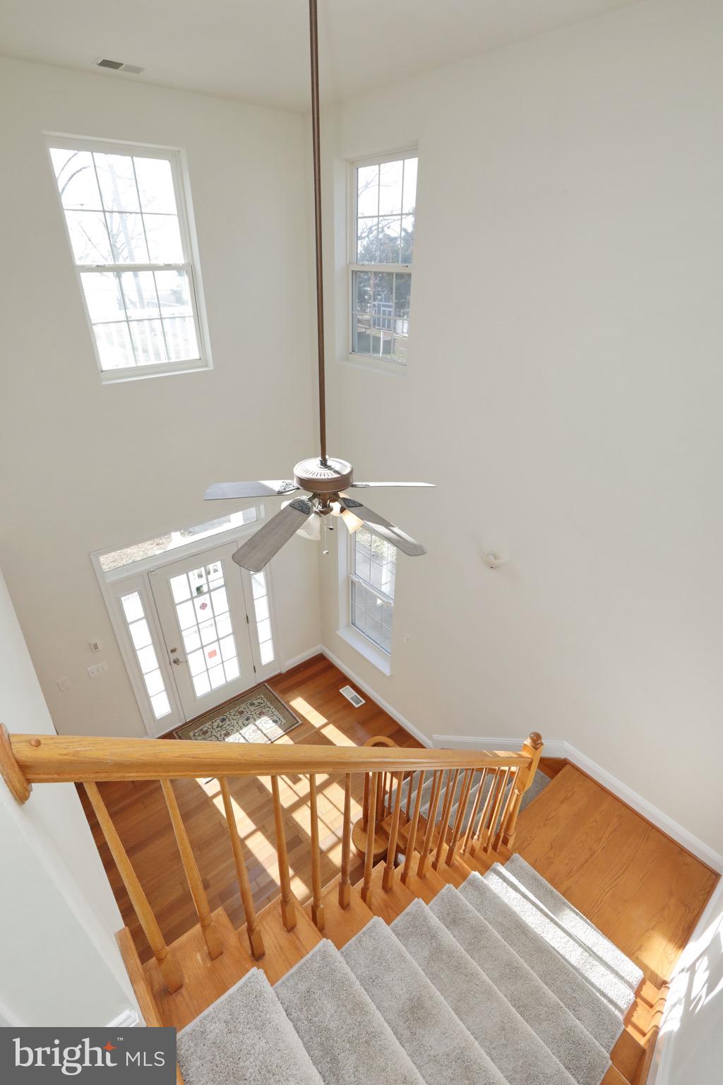 COBB ISLAND - Residential