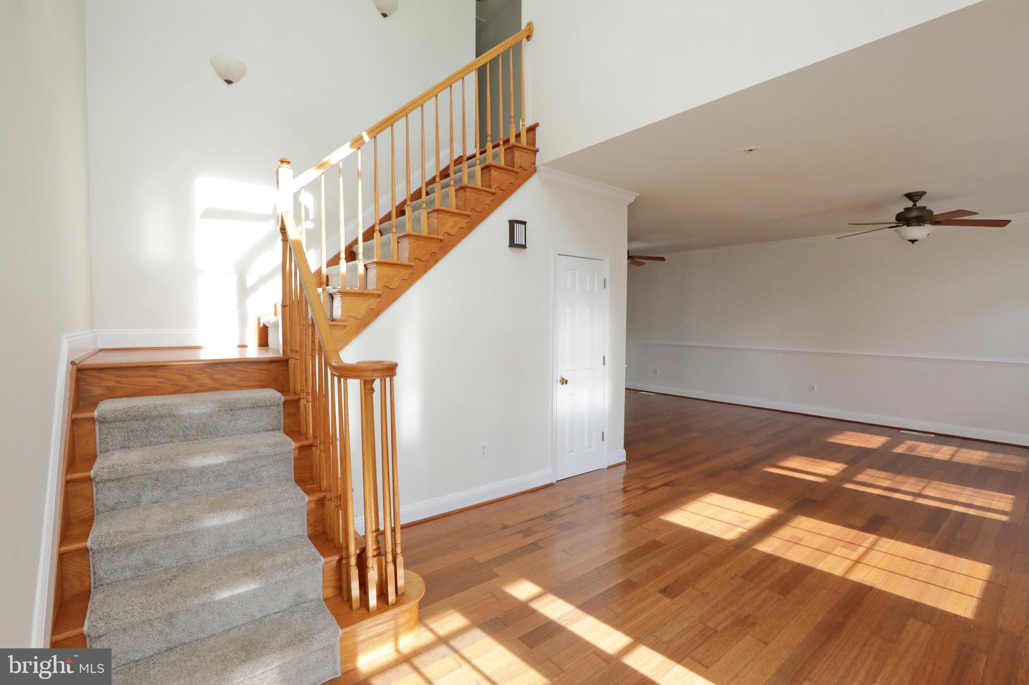 COBB ISLAND - Residential