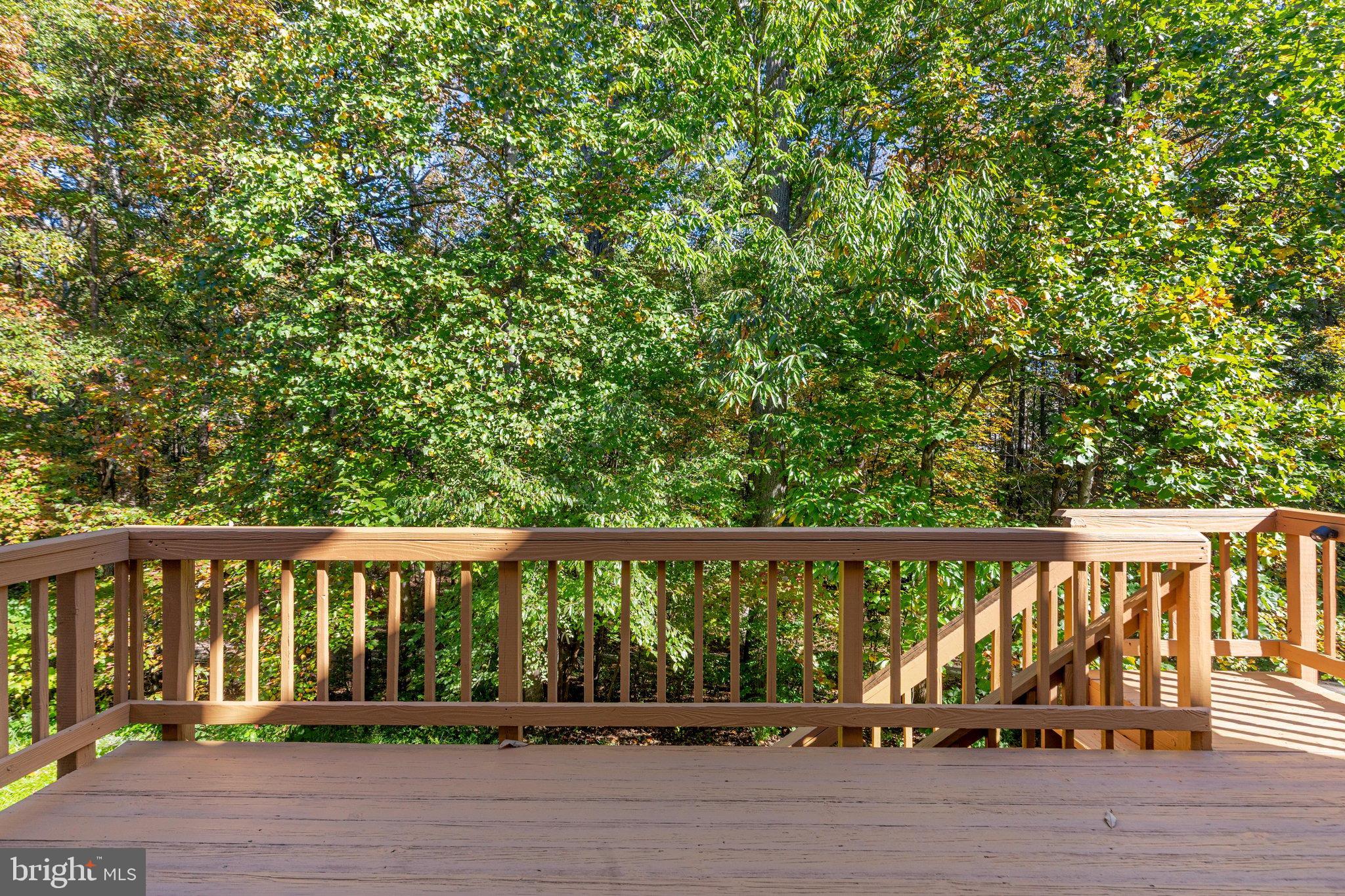 12468 SWEET LEAF TERRACE