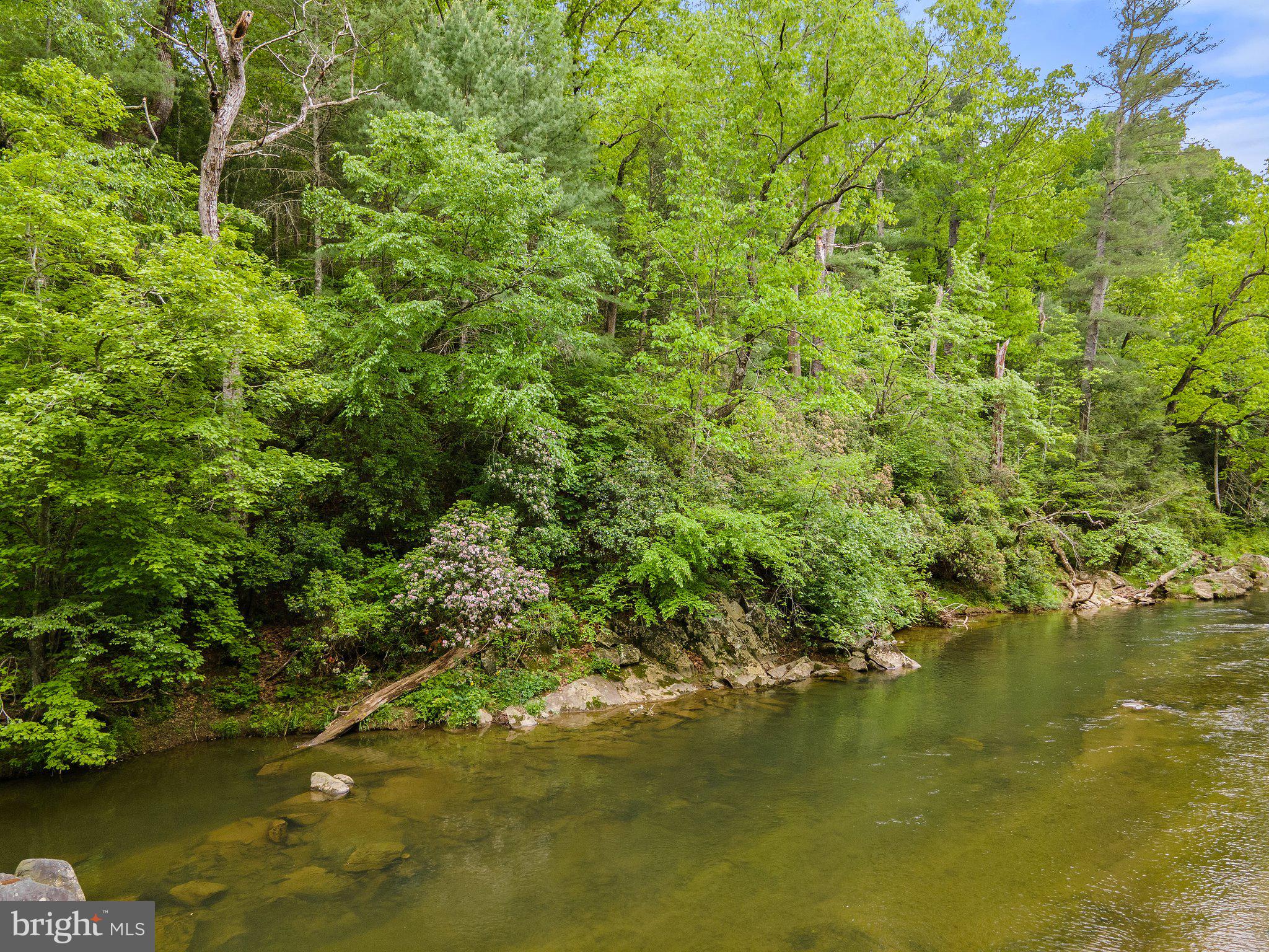 SEVEN SPRINGS - Land