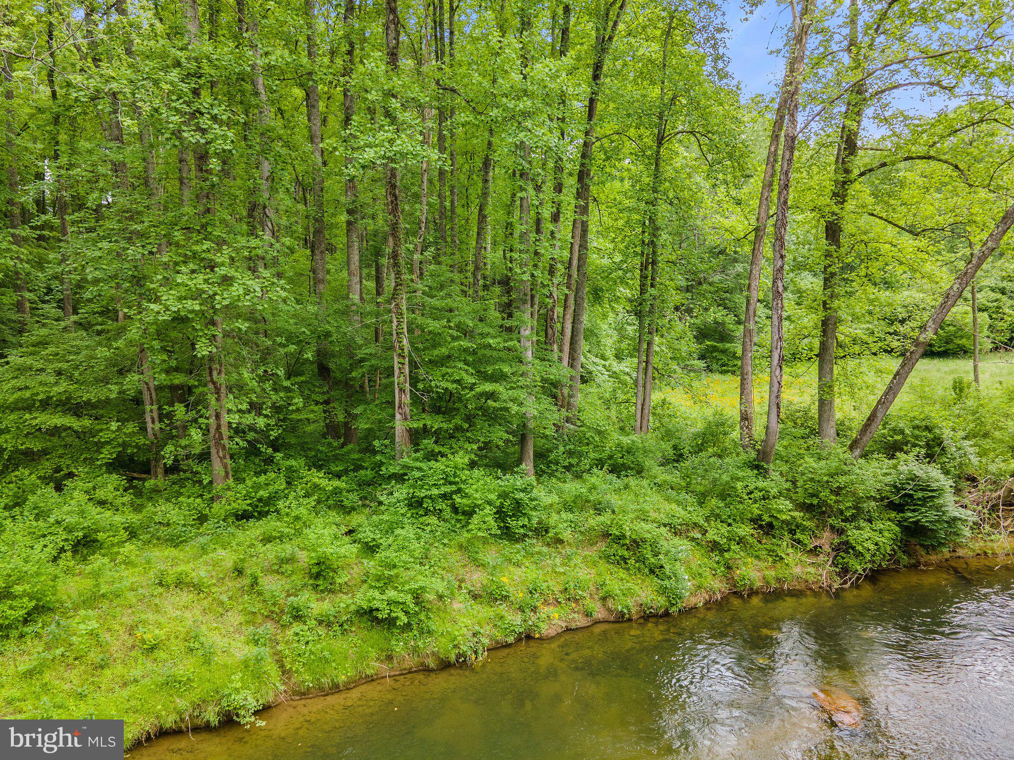 SEVEN SPRINGS - Land