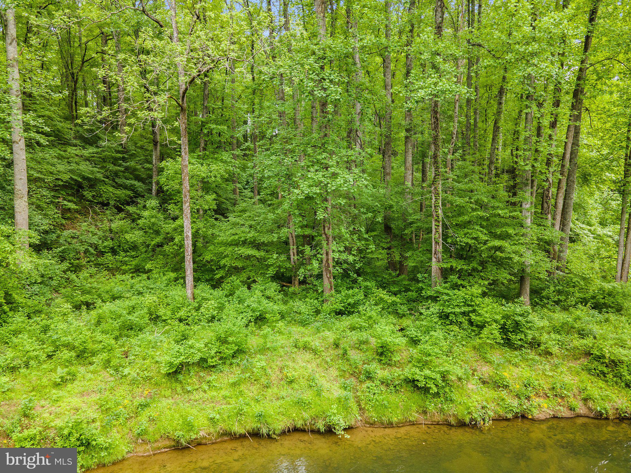 SEVEN SPRINGS - Land