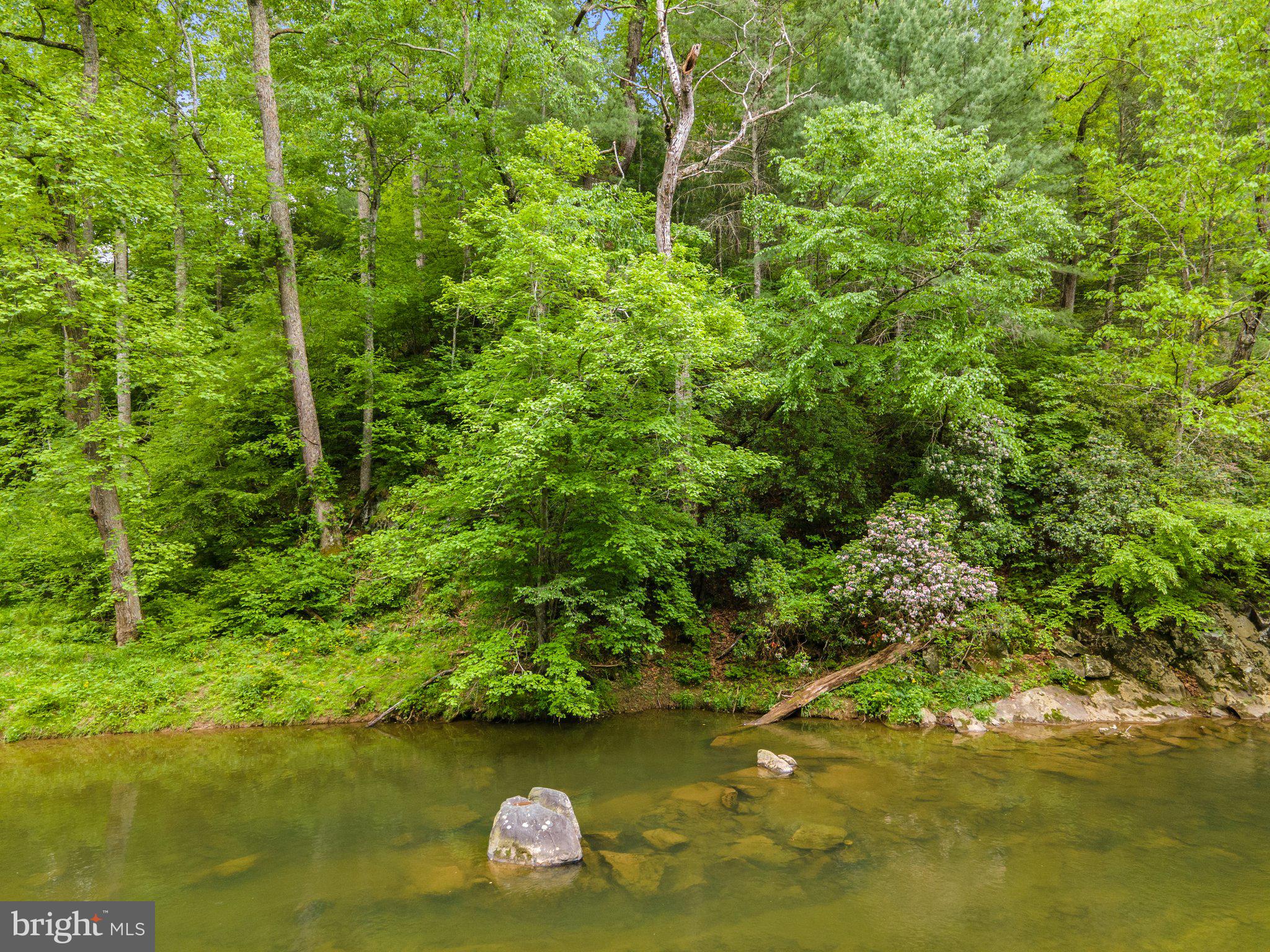 SEVEN SPRINGS - Land