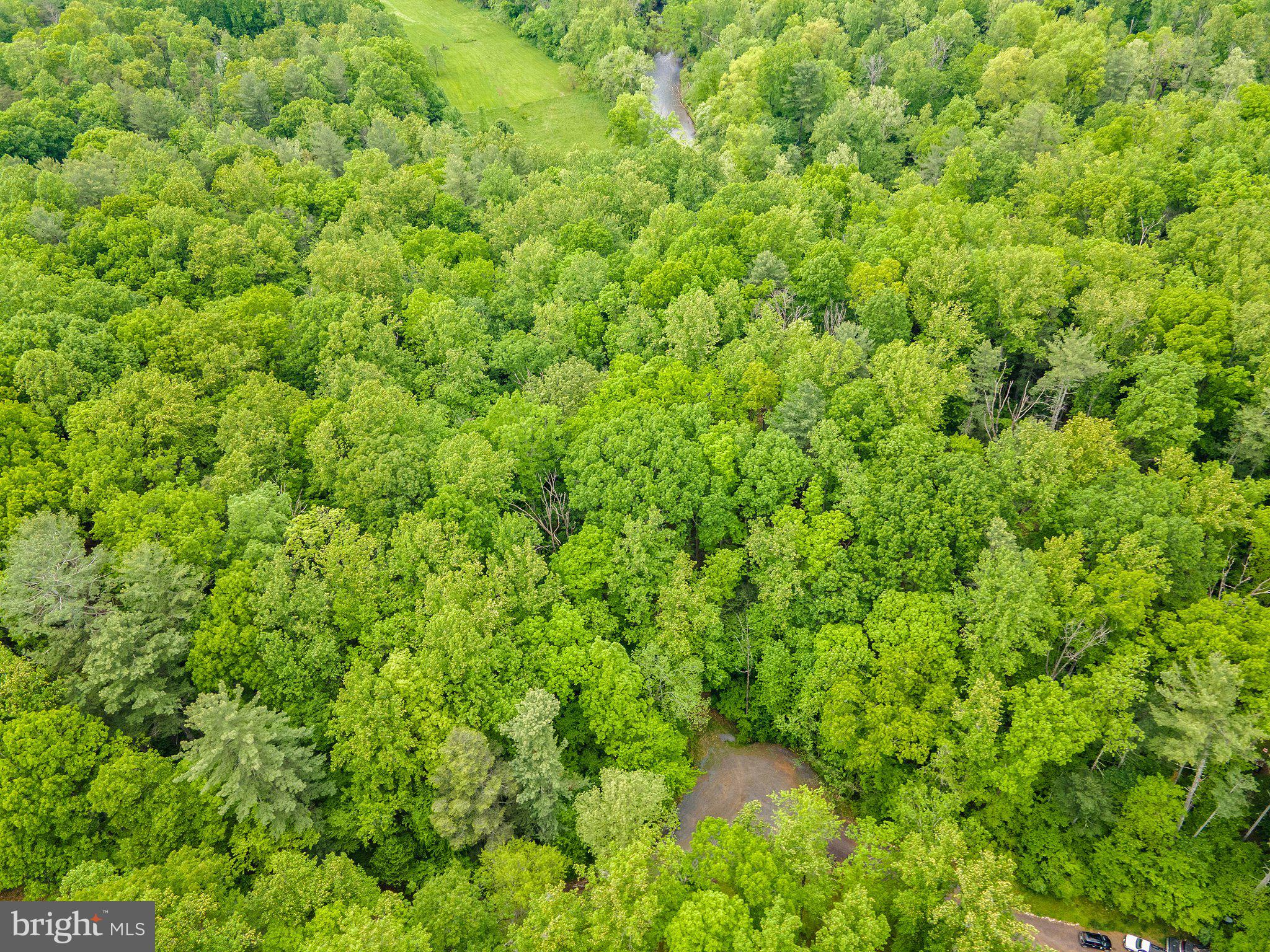 SEVEN SPRINGS - Land
