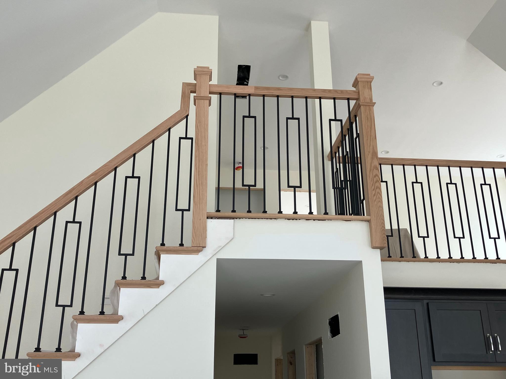 TOWAMESING TRAILS - Residential