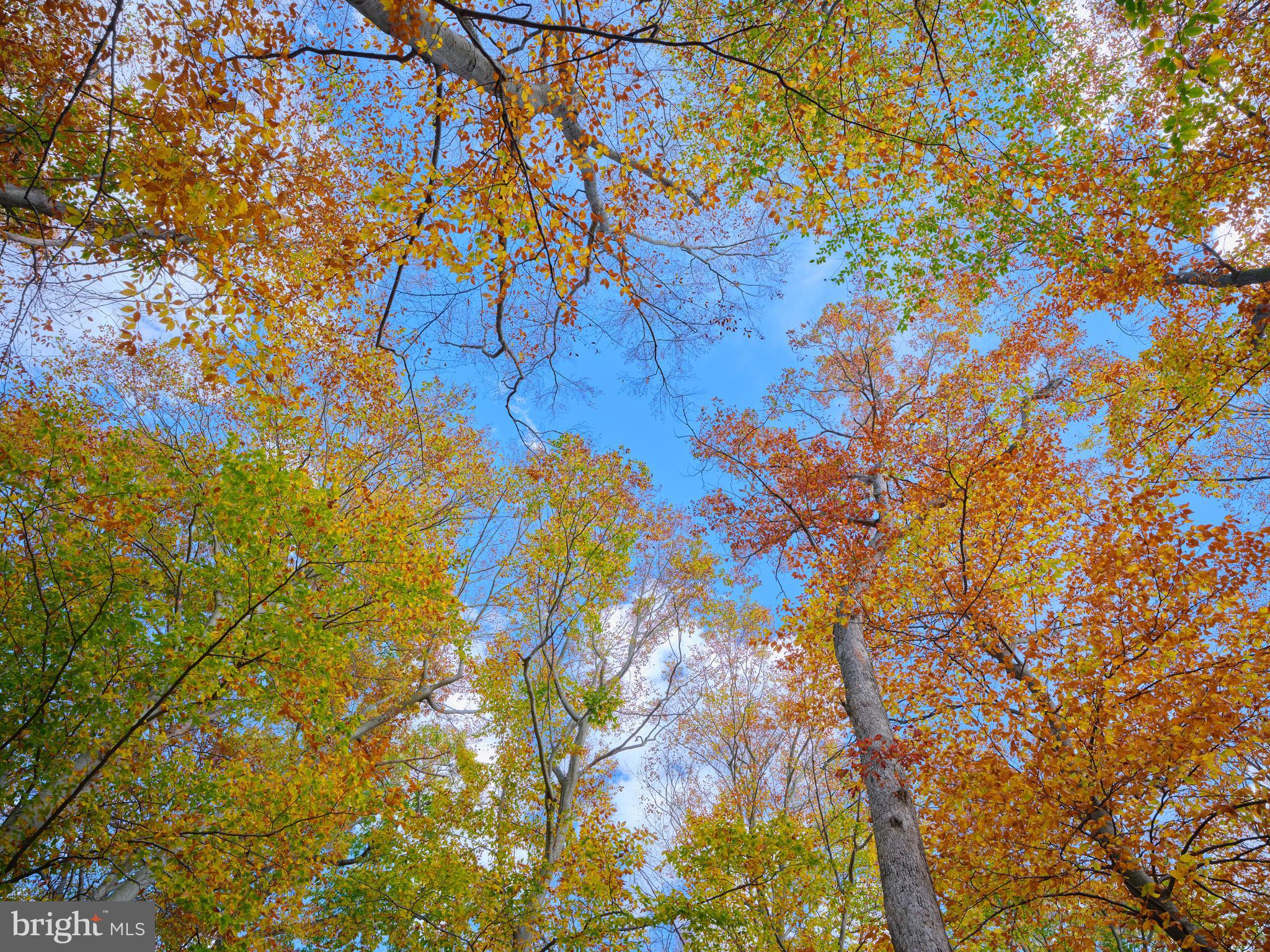 NON AVAILABLE - Residential