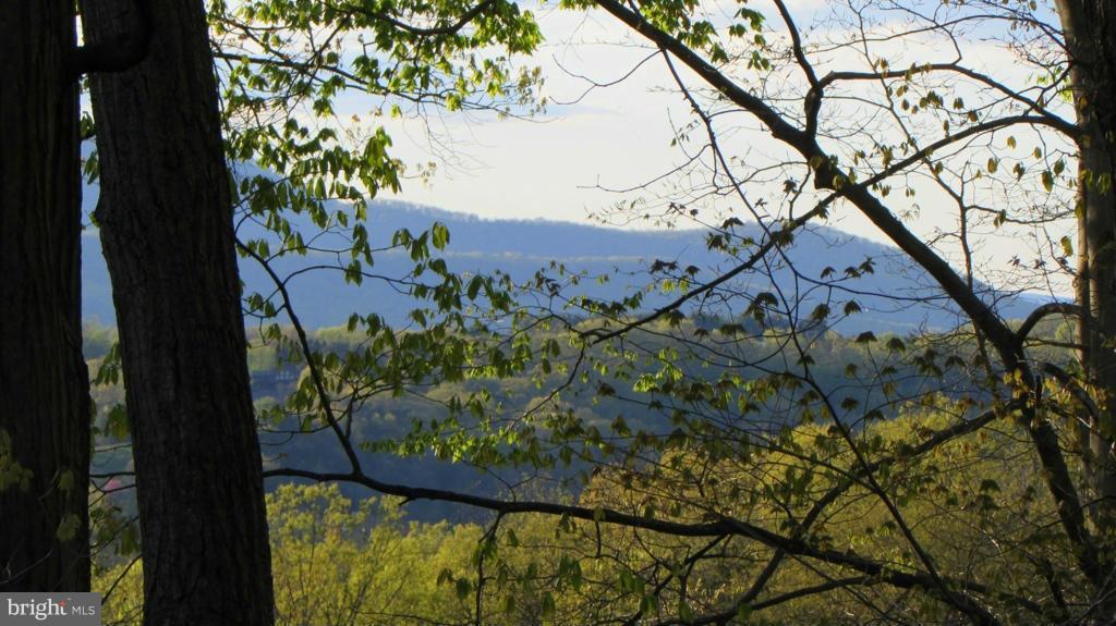 LARRY ANDREWS - Residential