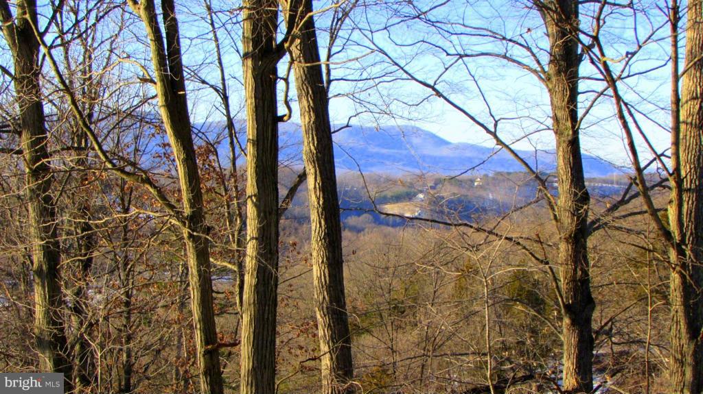 LARRY ANDREWS - Residential