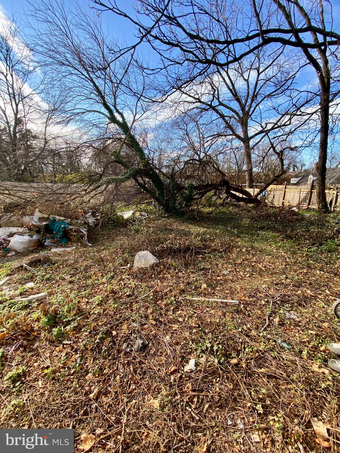 BLADENSBURG - Residential