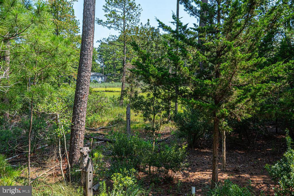 OCEAN PINES - THE PARKE - Residential